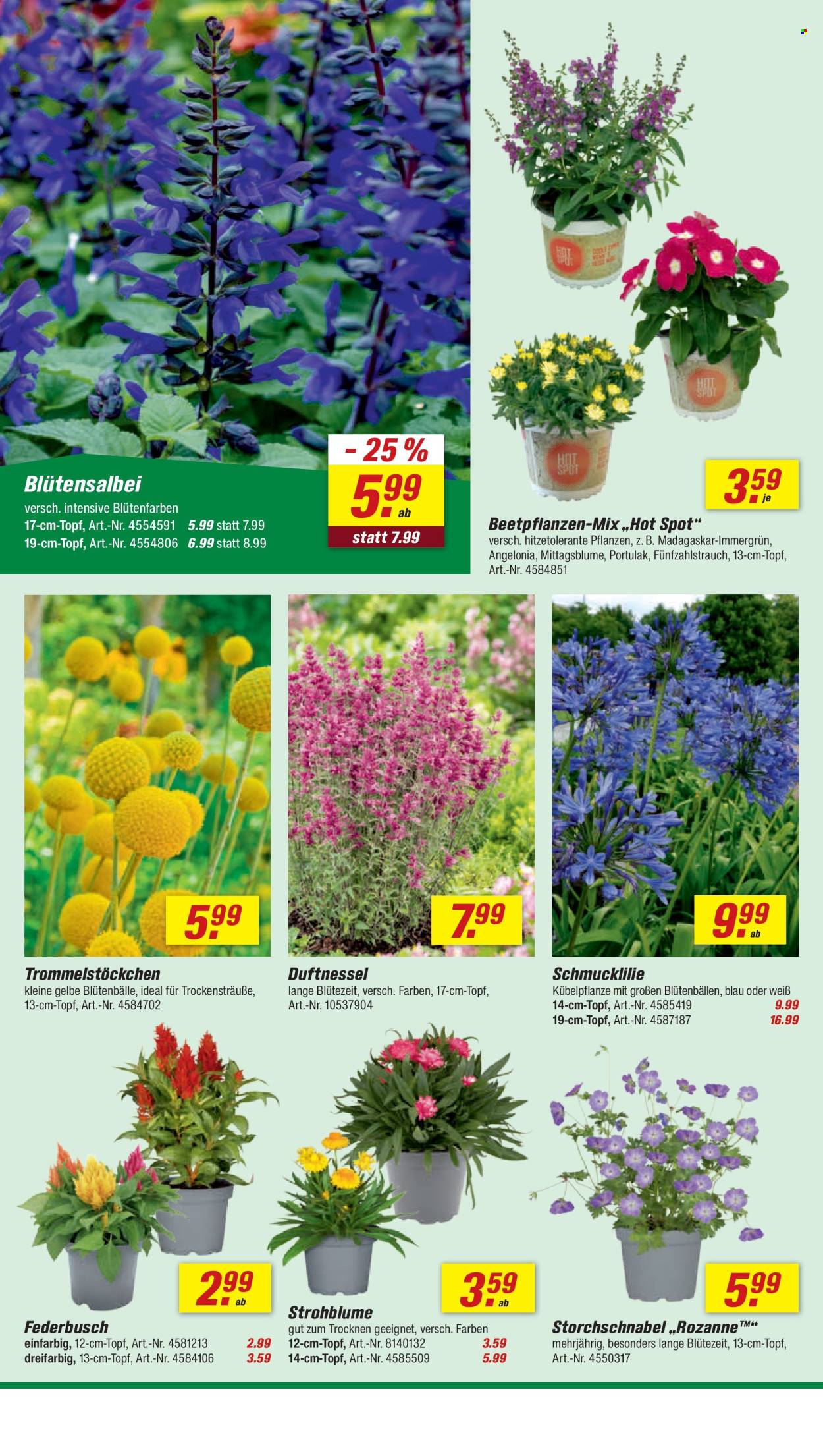 toom Baumarkt Prospekte  - 20.06.2026 - 26.06.2026. Seite 6
