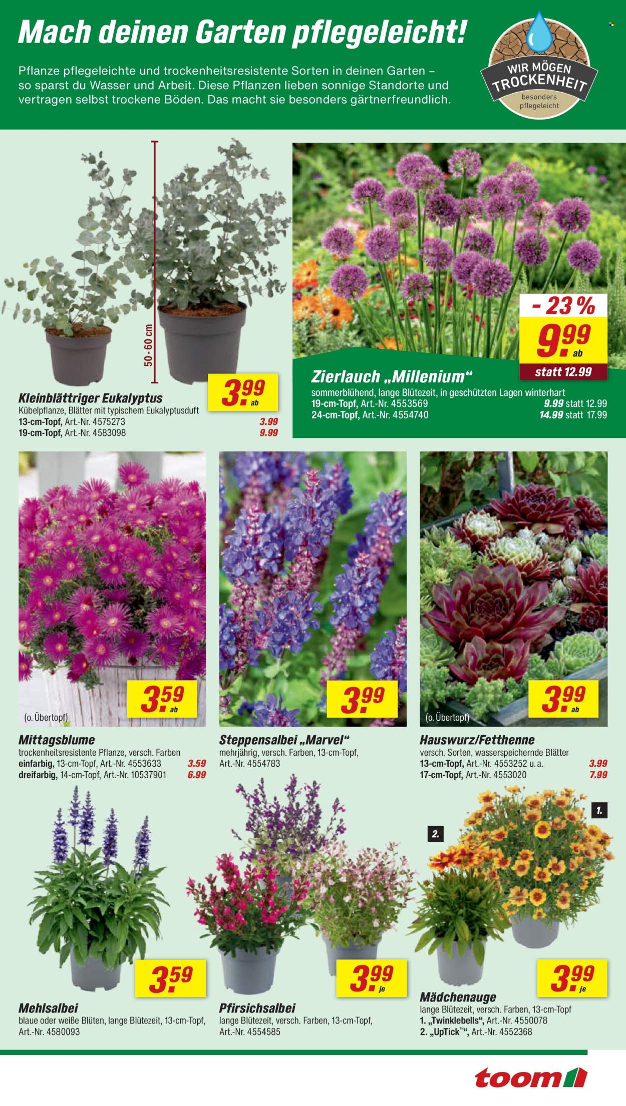 toom Baumarkt Prospekte  - 20.06.2026 - 26.06.2026. Seite 7