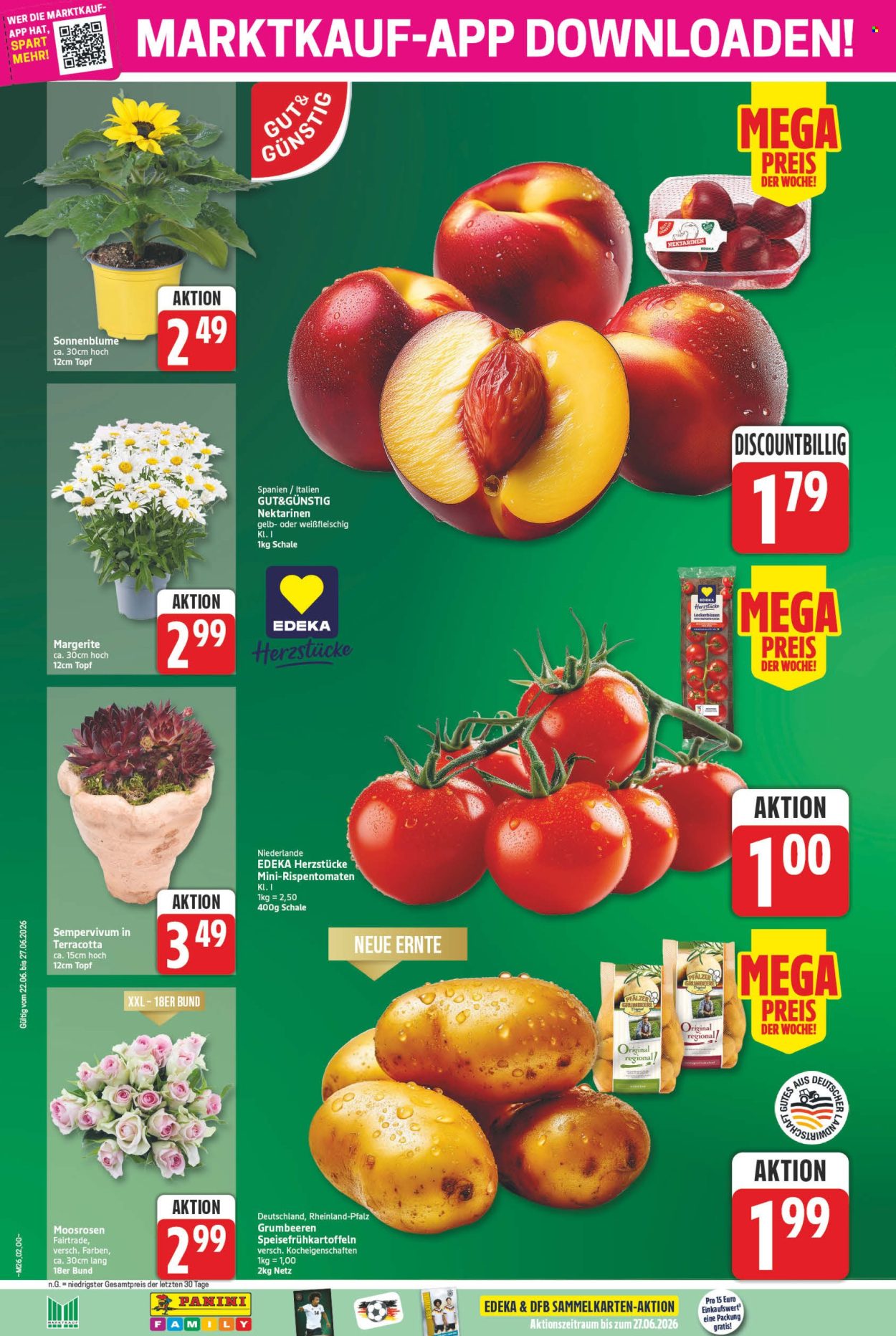Marktkauf Prospekte  - 22.06.2026 - 27.06.2026. Seite 2