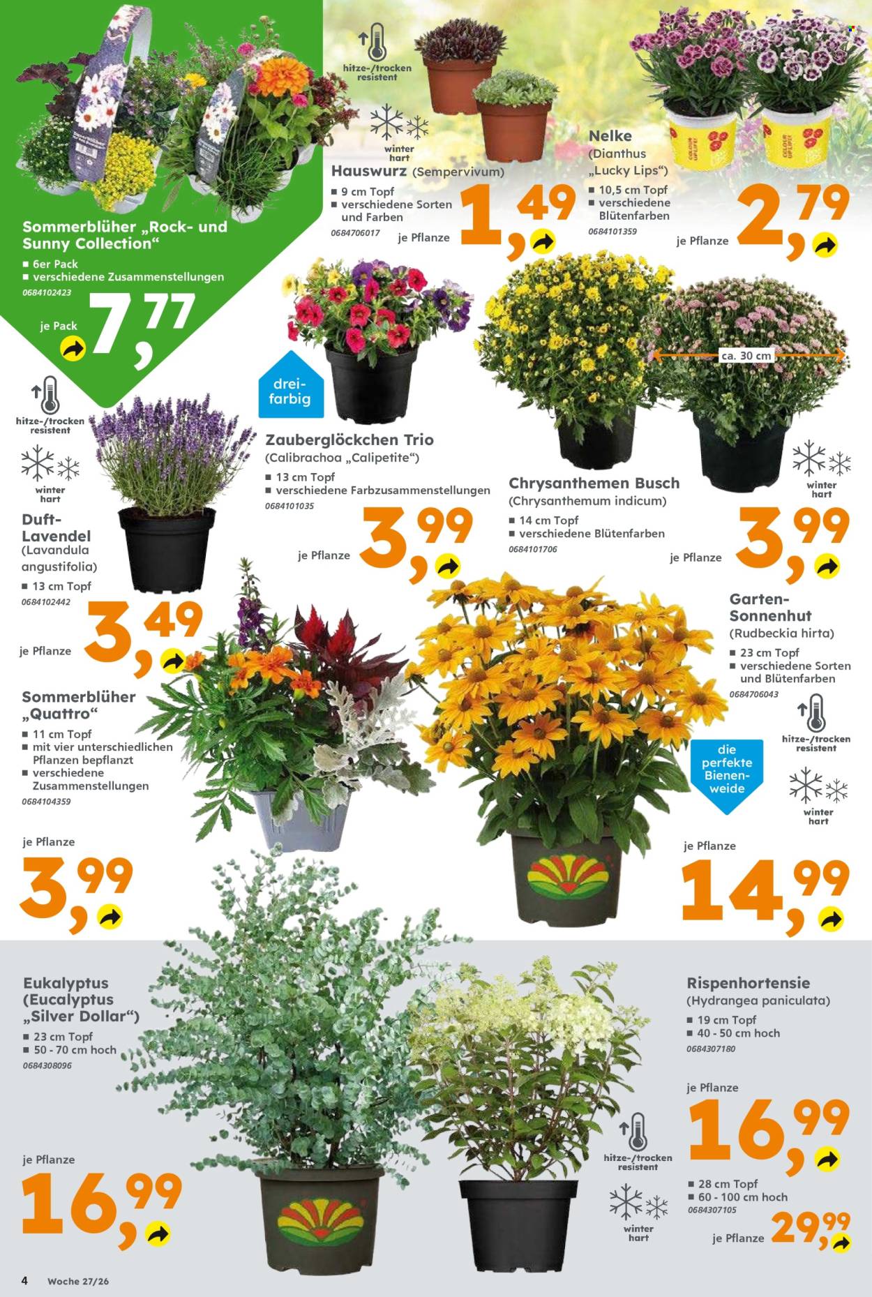 Globus Baumarkt Prospekte  - 29.06.2026 - 4.07.2026. Seite 4