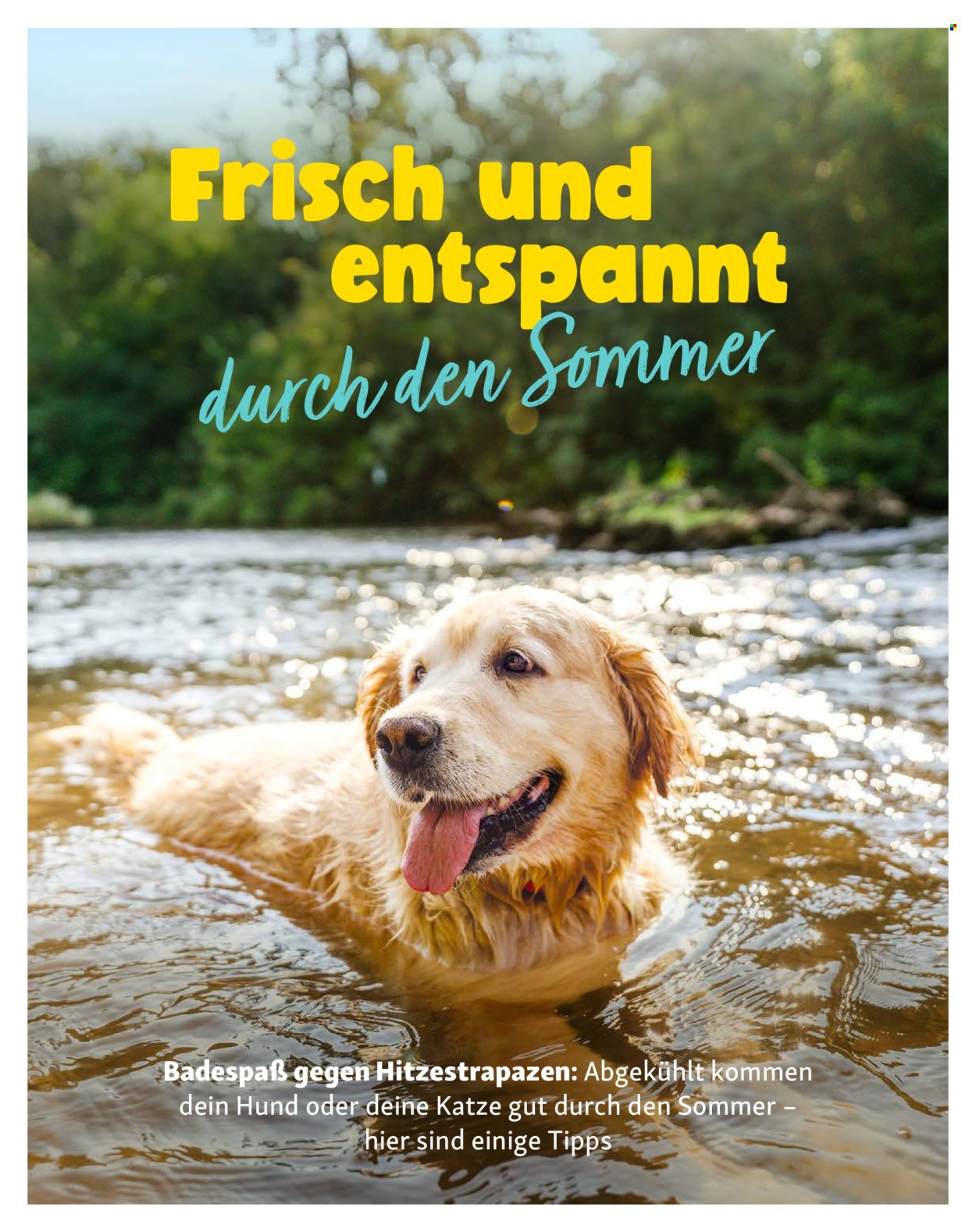 Fressnapf Prospekte  - 1.07.2026 - 31.08.2026. Seite 16