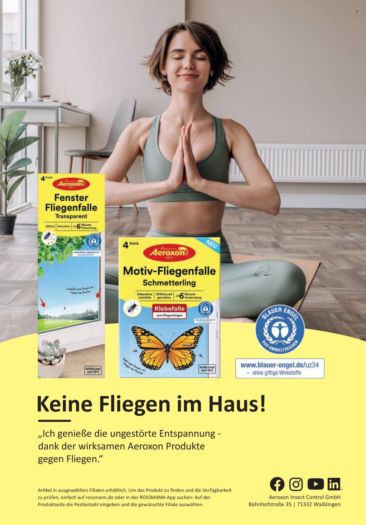 Rossmann Prospekte  - 1.07.2026 - 31.07.2026. Seite 65