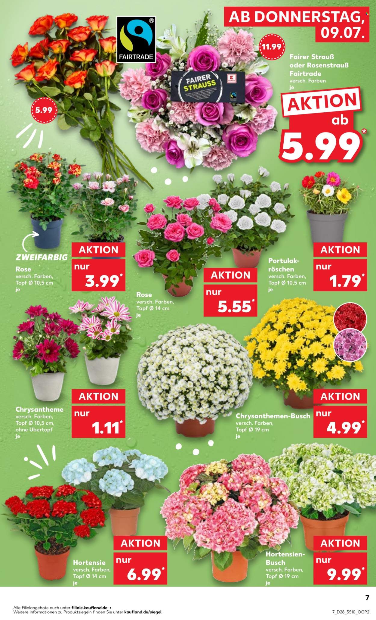 Kaufland Prospekte  - 9.07.2026 - 15.07.2026. Seite 7