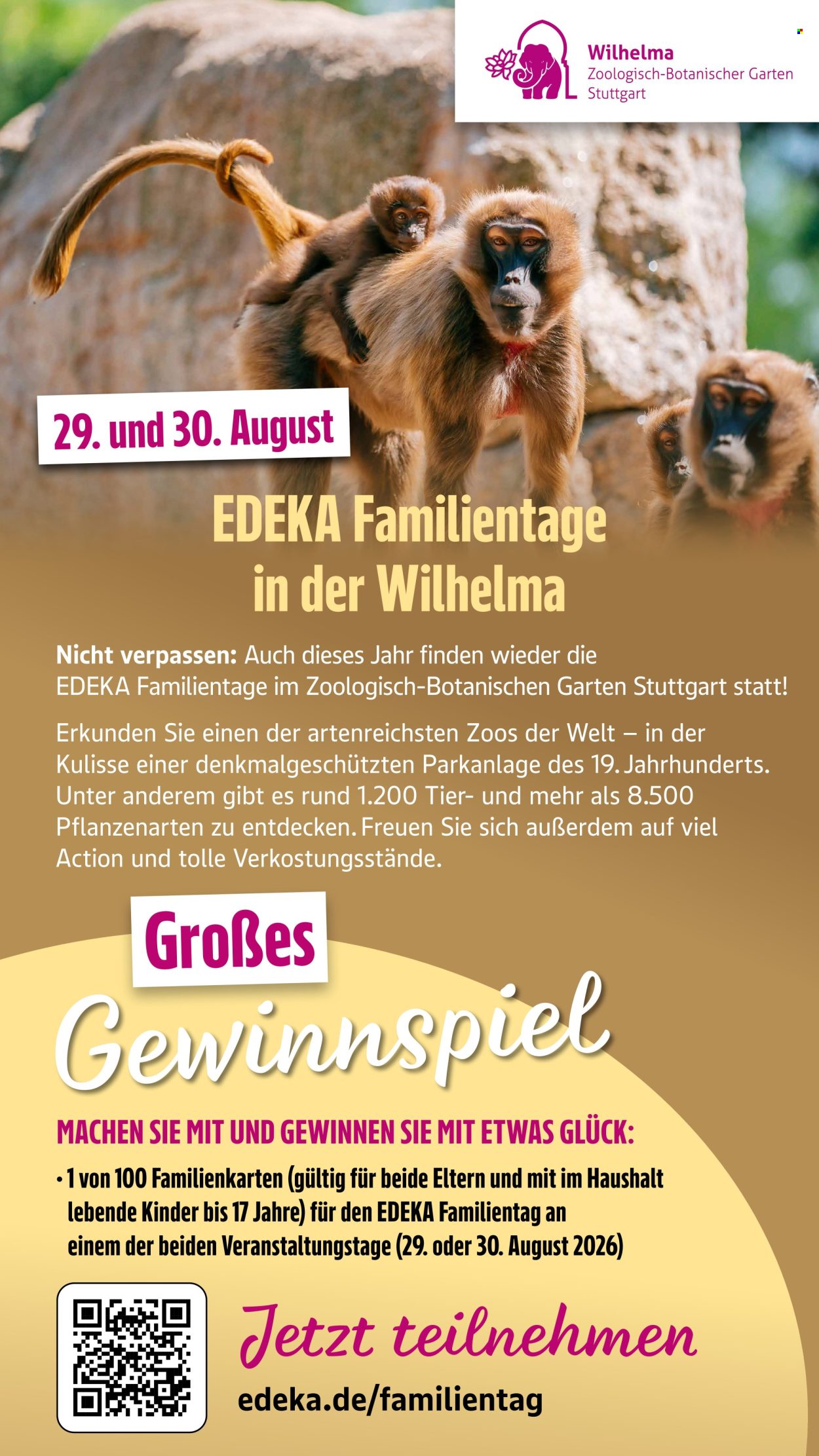 Edeka Prospekte  - 6.07.2026 - 11.07.2026. Seite 43