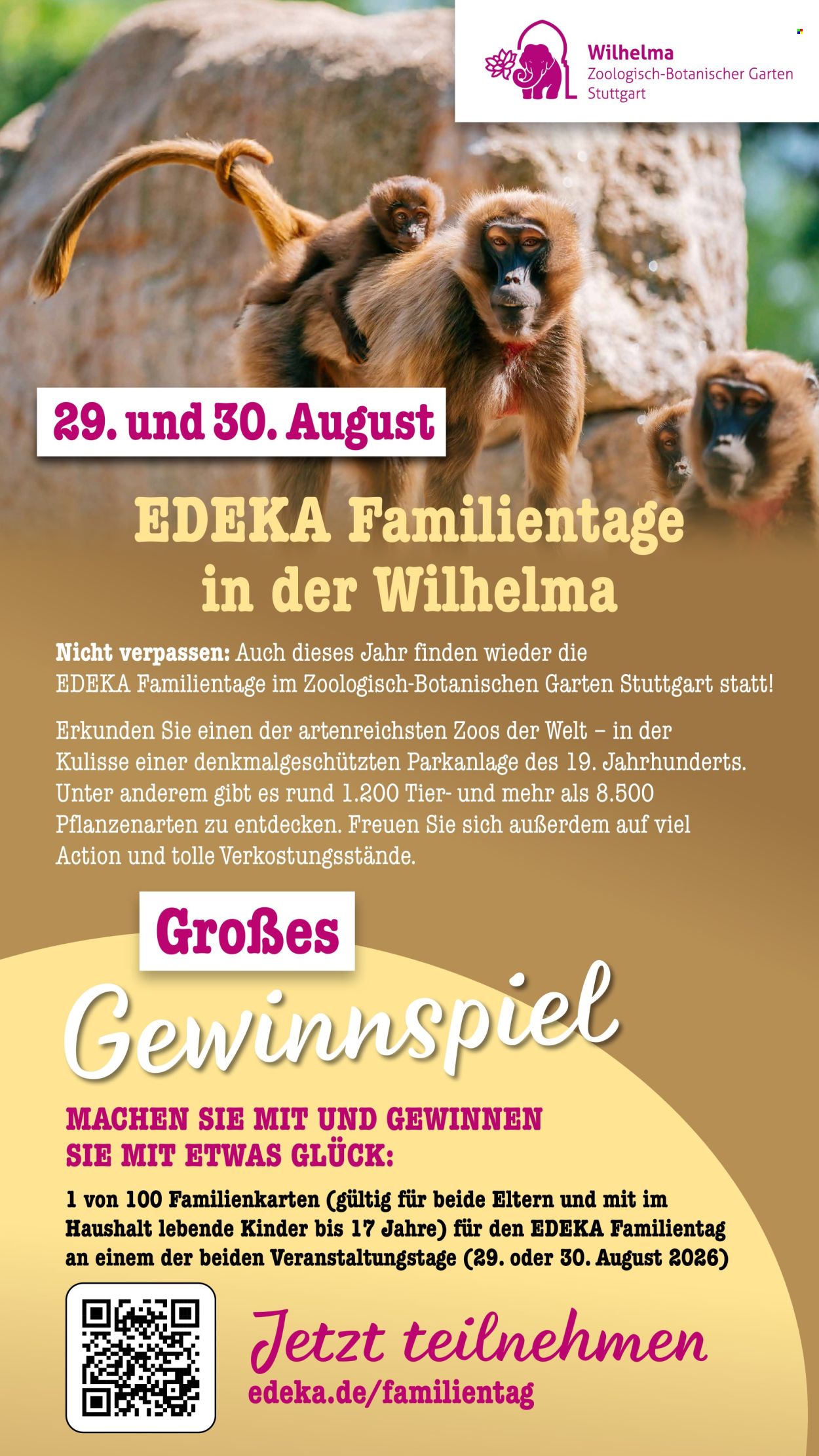 Scheck-in Prospekte  - 6.07.2026 - 11.07.2026. Seite 63