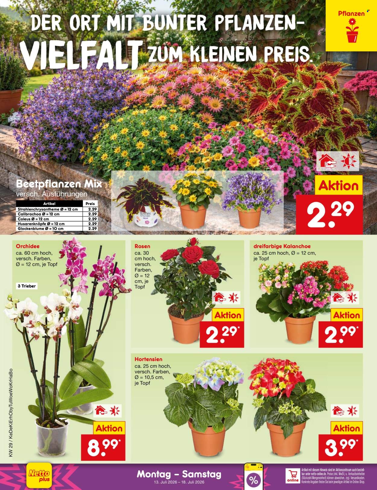 Netto Marken-Discount Prospekte  - 13.07.2026 - 18.07.2026. Seite 42