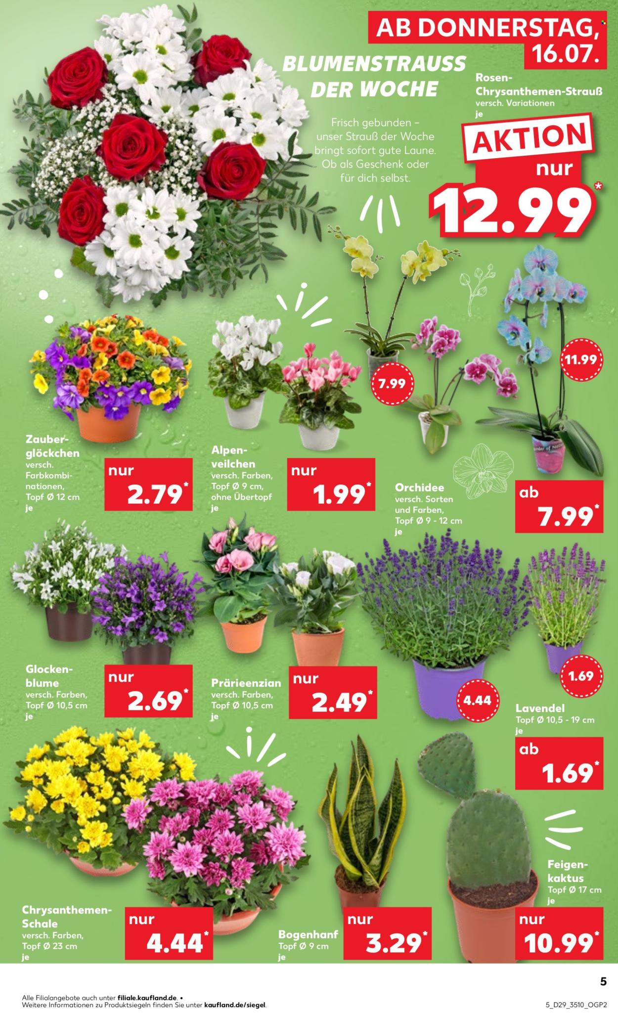 Kaufland Prospekte  - 16.07.2026 - 22.07.2026. Seite 5