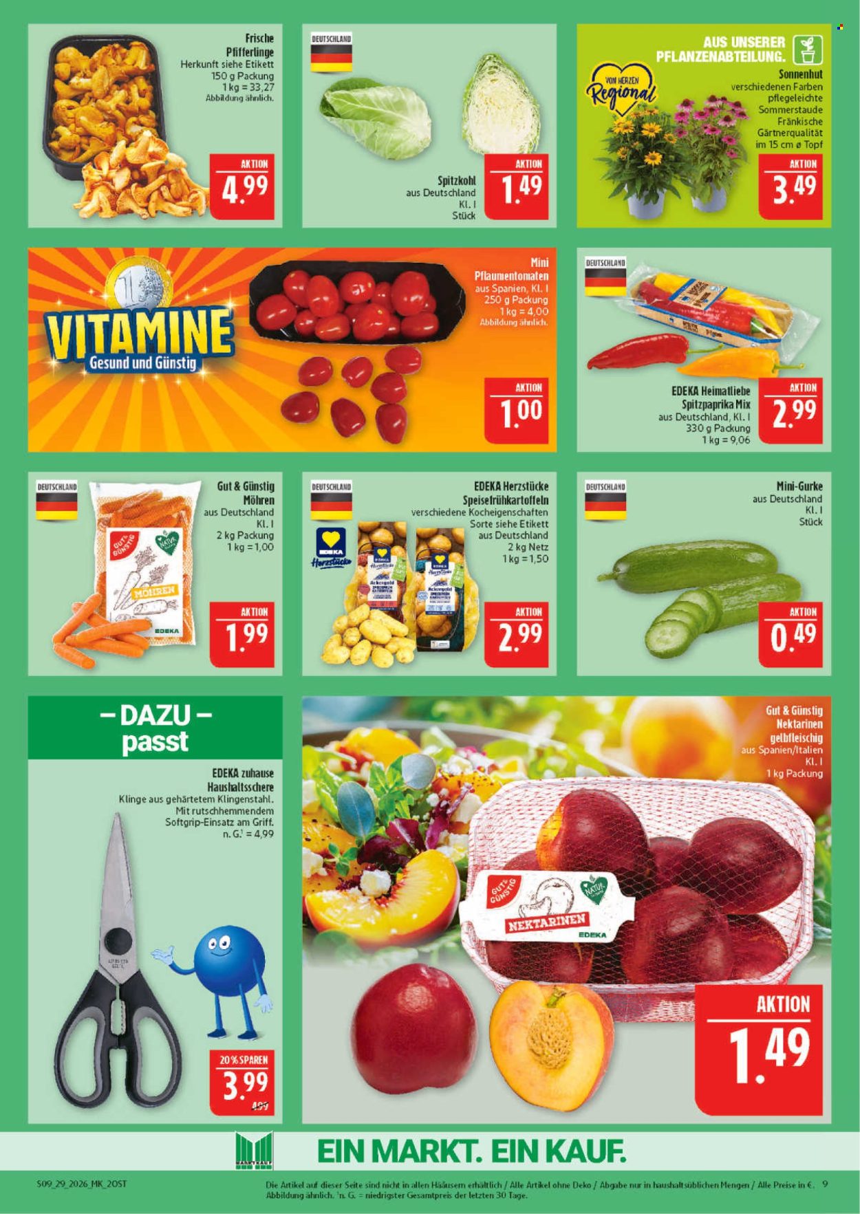 Marktkauf Prospekte  - 13.07.2026 - 18.07.2026. Seite 9