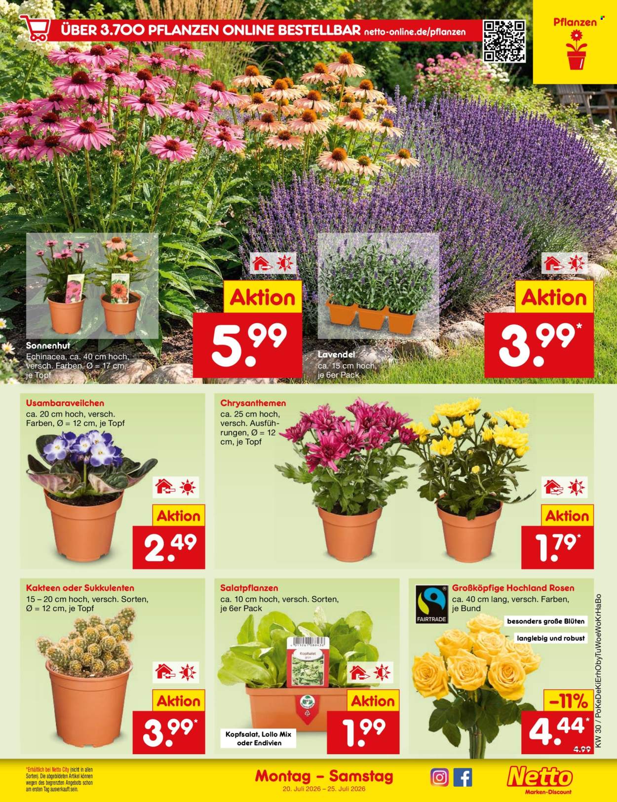 Netto Marken-Discount Prospekte  - 20.07.2026 - 25.07.2026. Seite 47