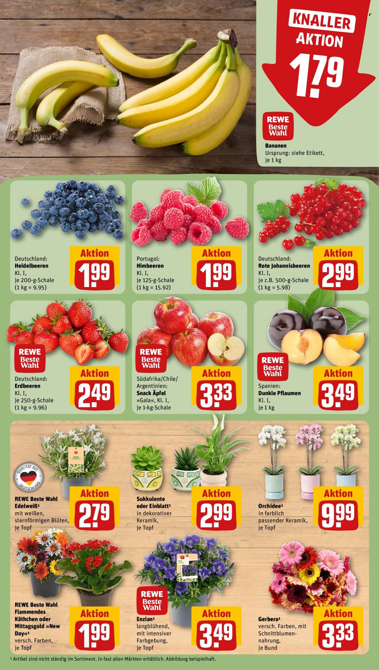 REWE Prospekte  - 20.07.2026 - 26.07.2026. Seite 9
