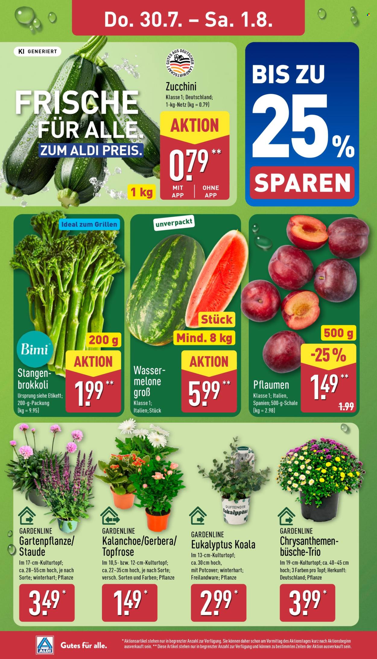 ALDI Nord Prospekte  - 27.07.2026 - 1.08.2026. Seite 32