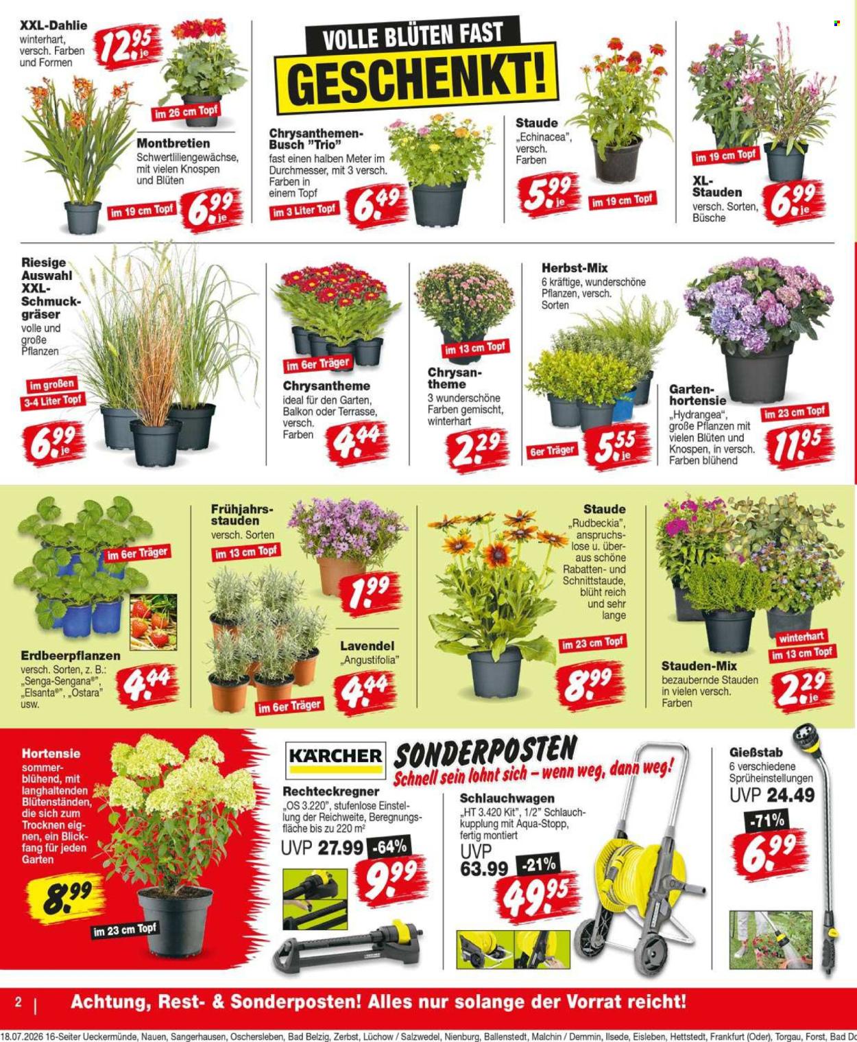 Repo Prospekte  - 20.07.2026 - 25.07.2026. Seite 2
