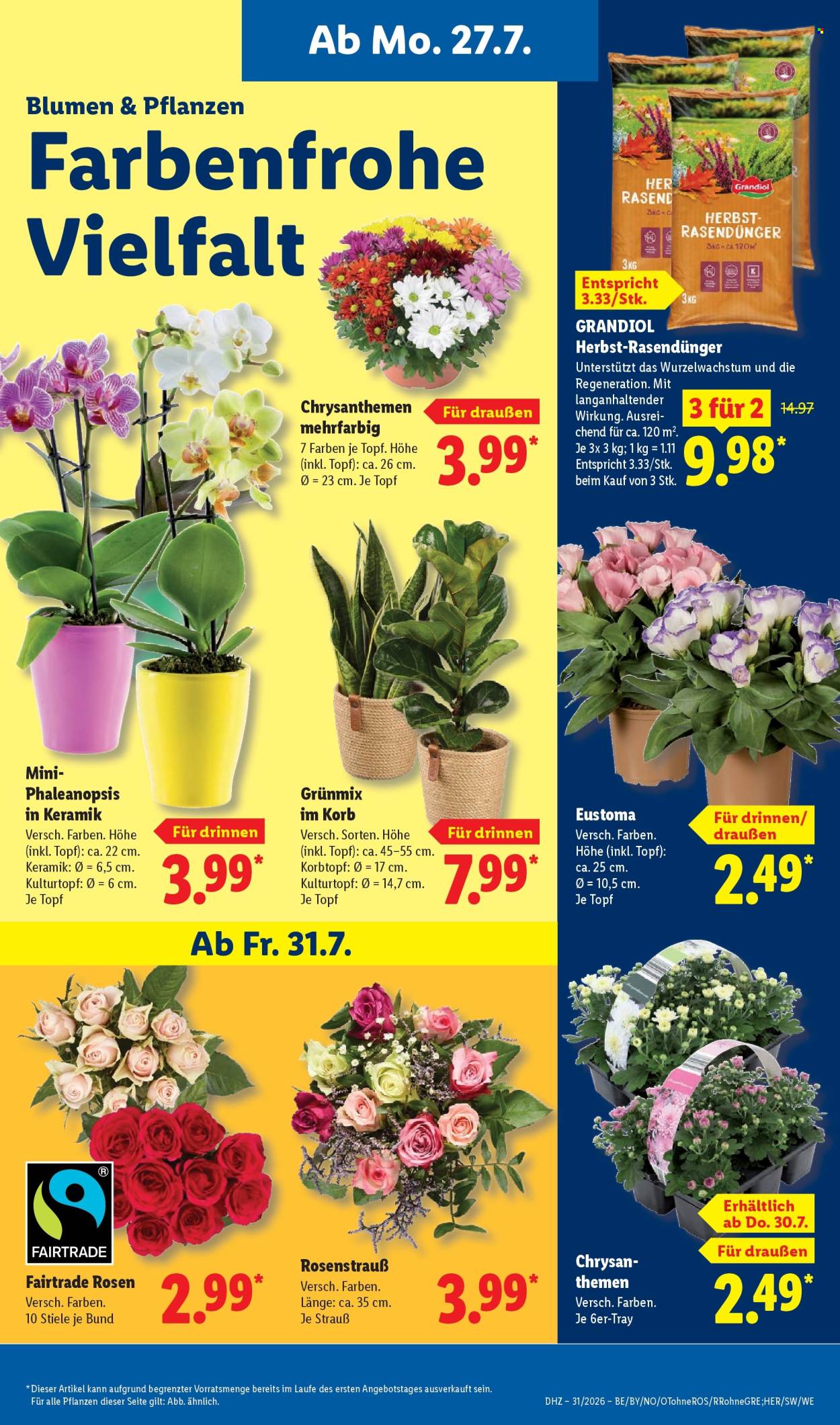 Lidl Prospekte  - 27.07.2026 - 1.08.2026. Seite 7