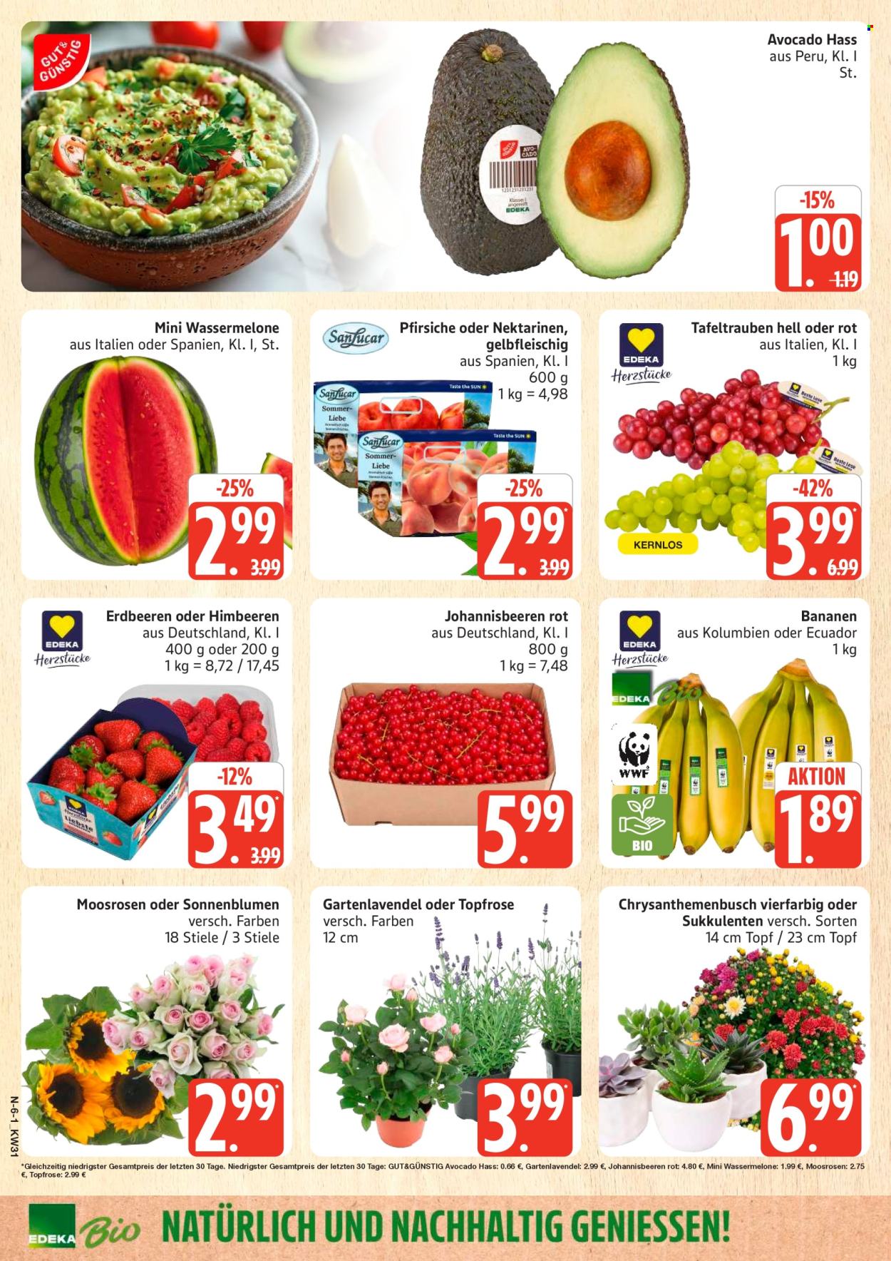 Marktkauf Prospekte  - 27.07.2026 - 1.08.2026. Seite 6