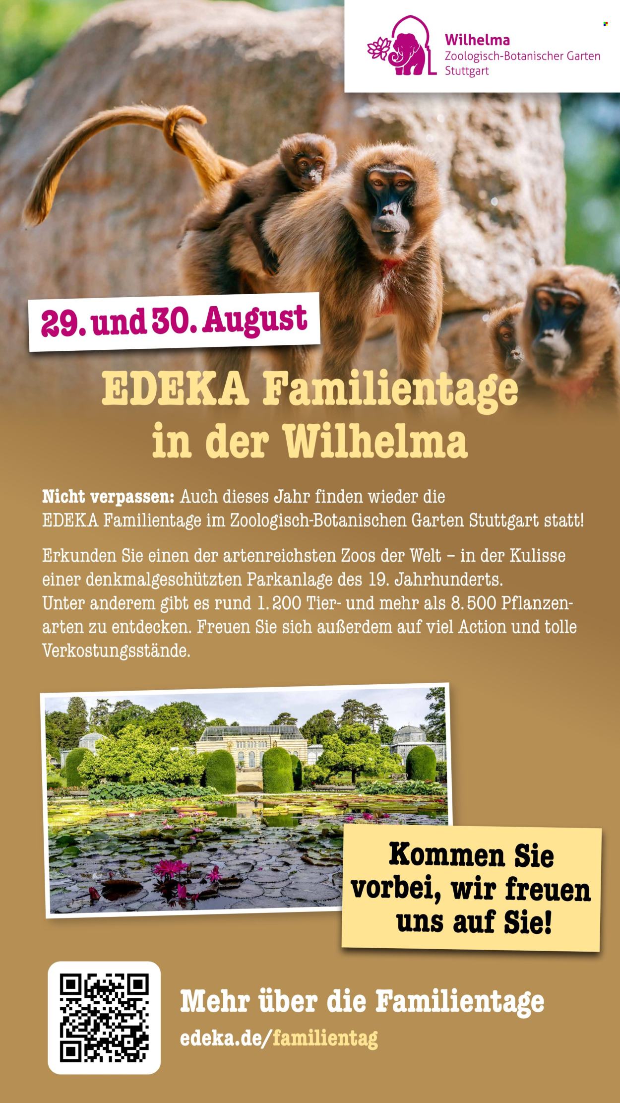 Scheck-in Prospekte  - 27.07.2026 - 1.08.2026. Seite 65