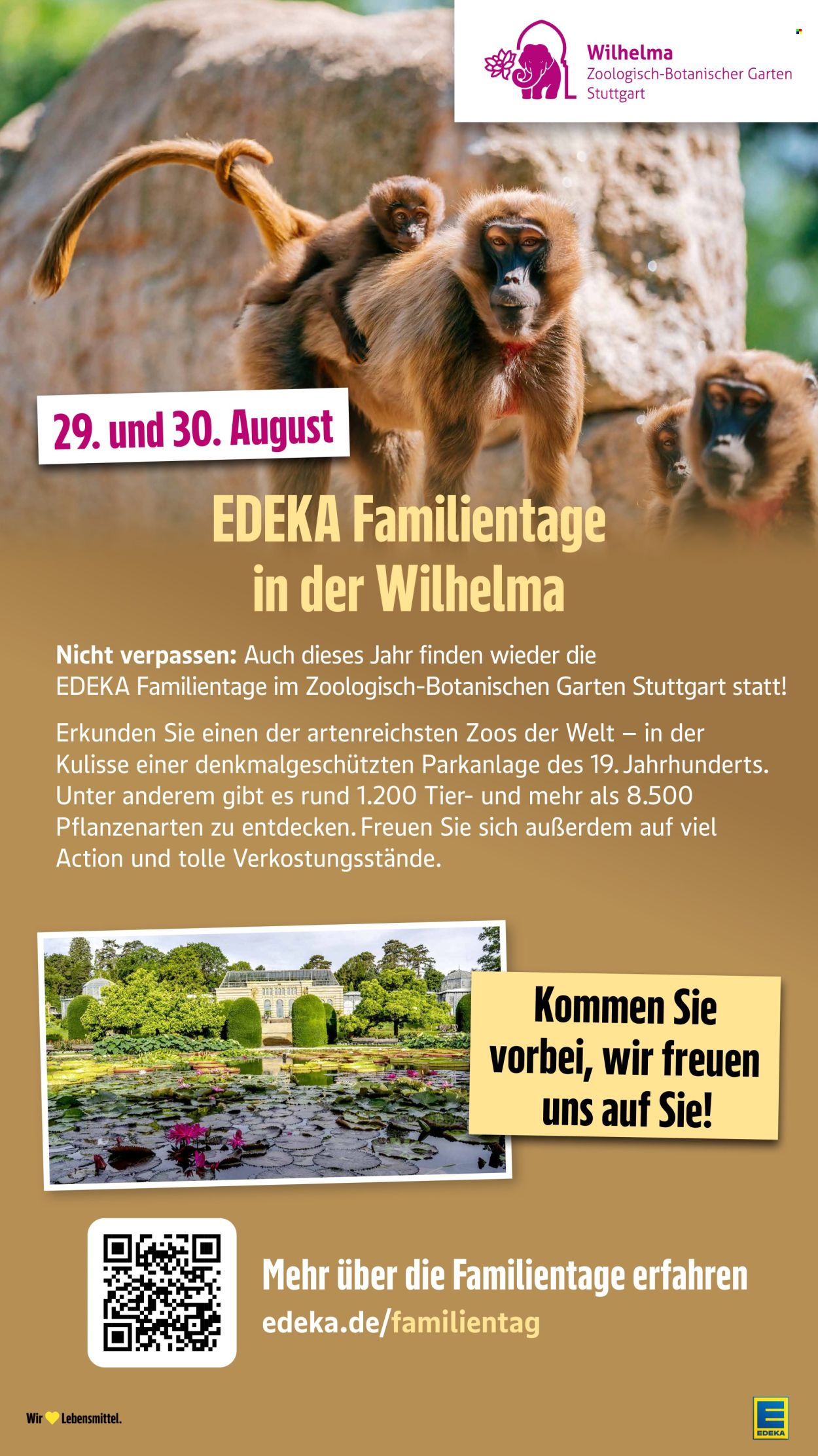 Edeka Prospekte  - 27.07.2026 - 1.08.2026. Seite 47