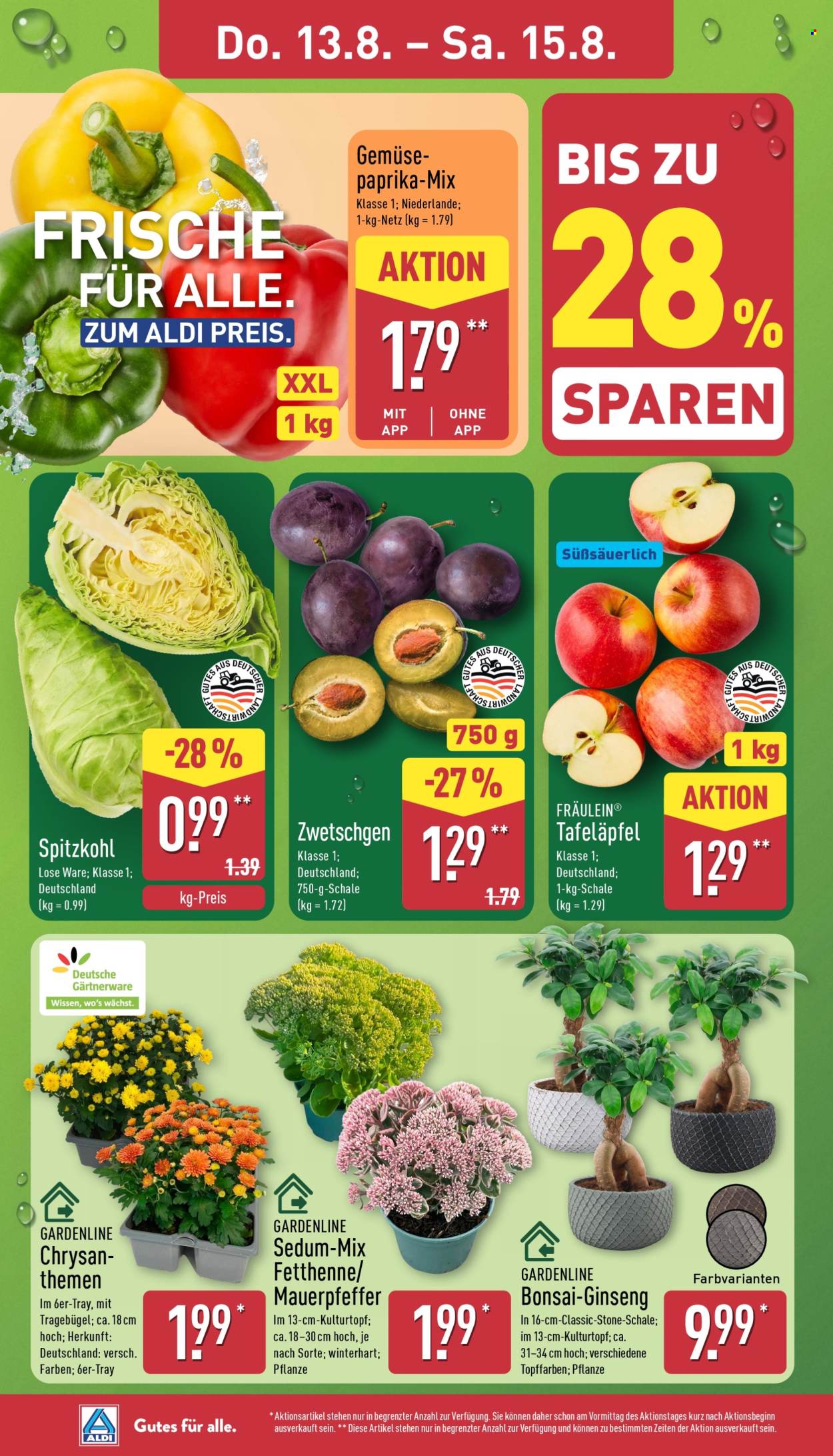 ALDI Nord Prospekte  - 10.08.2026 - 15.08.2026. Seite 28