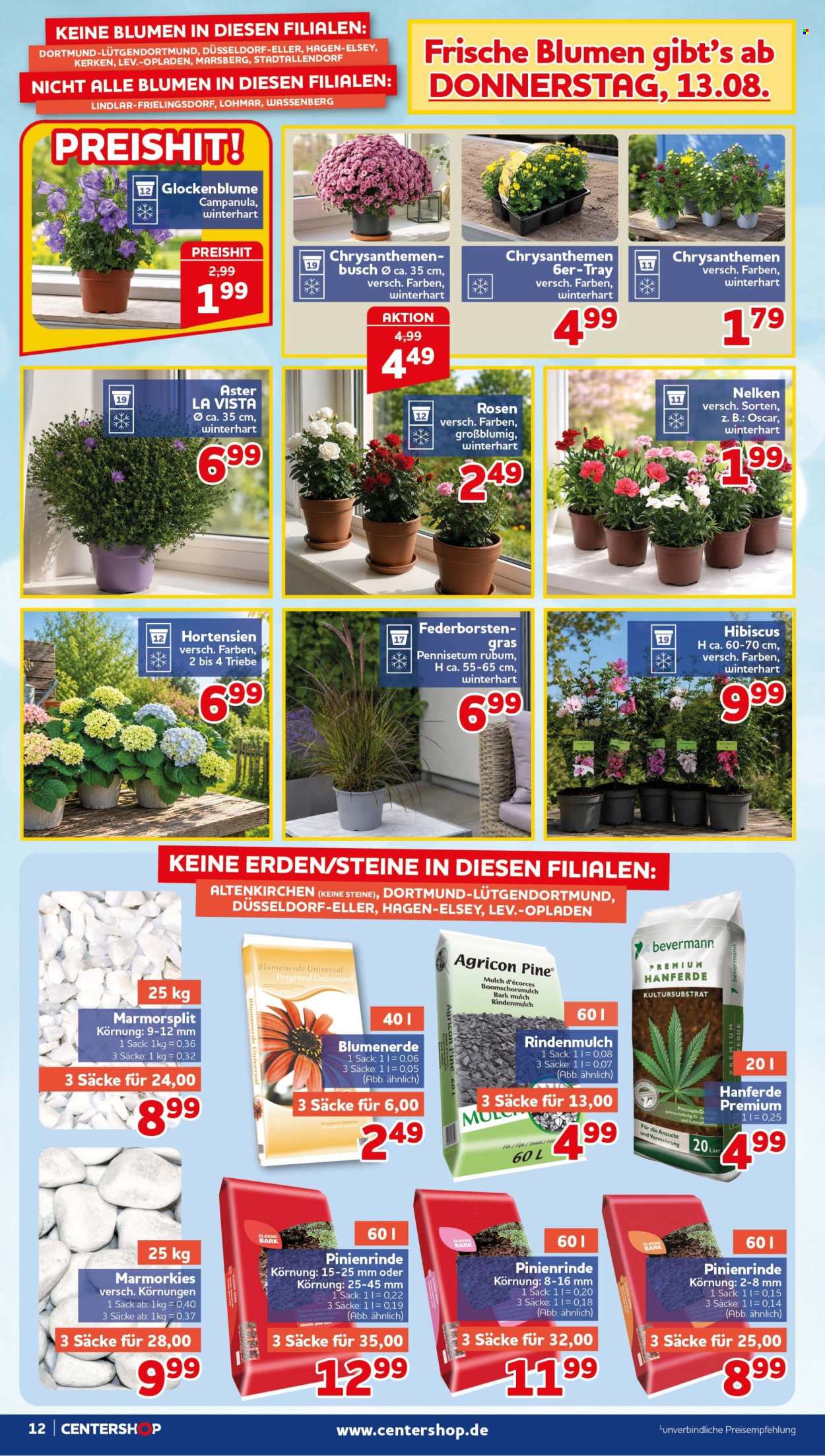 CENTERSHOP Prospekte  - 10.08.2026 - 15.08.2026. Seite 12