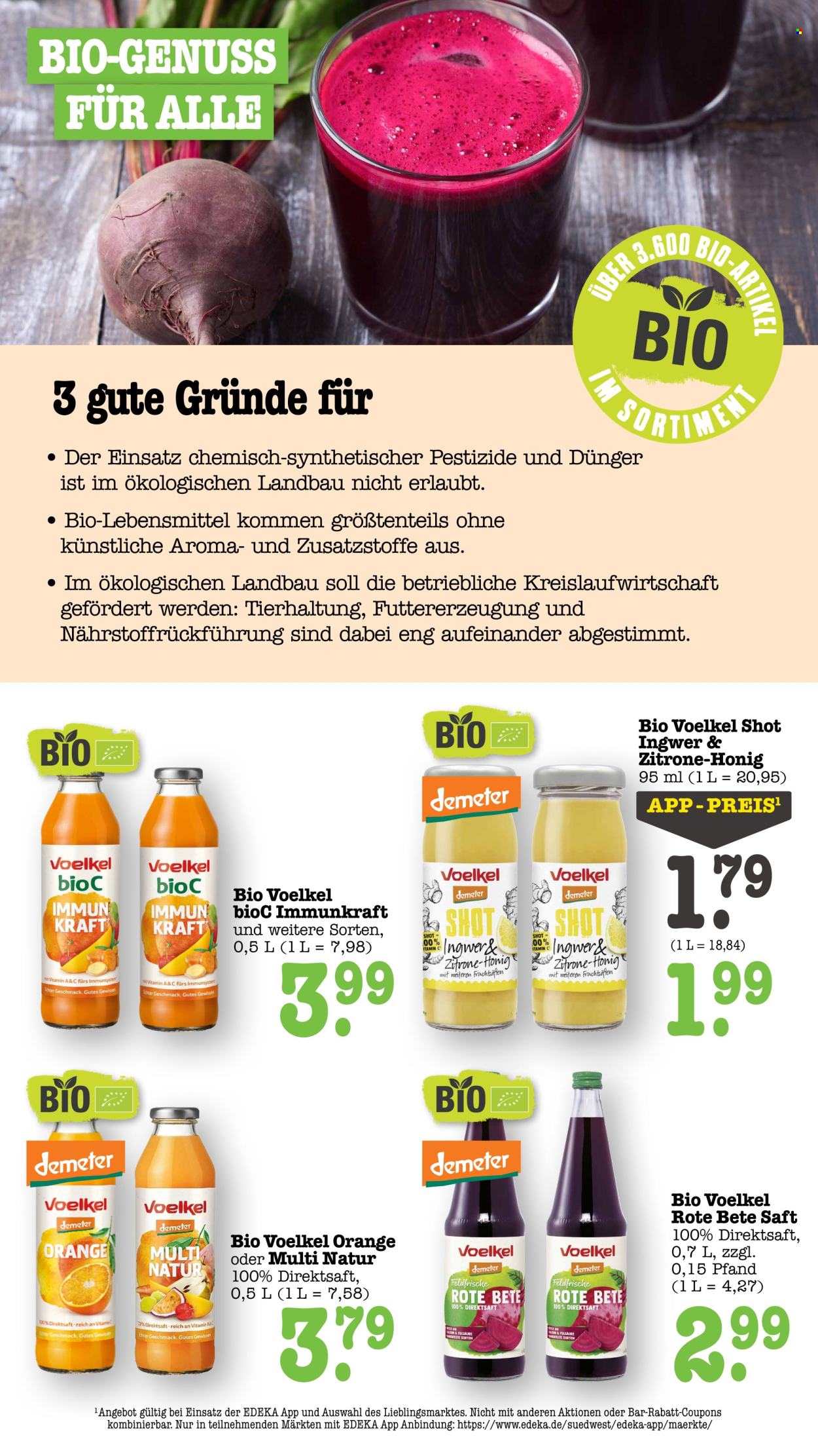 Scheck-in Prospekte  - 10.08.2026 - 15.08.2026. Seite 38