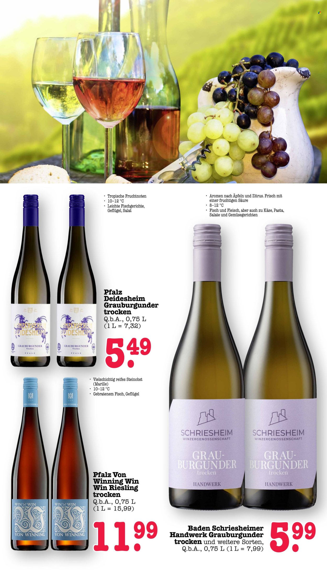 Scheck-in Prospekte  - 10.08.2026 - 15.08.2026. Seite 50