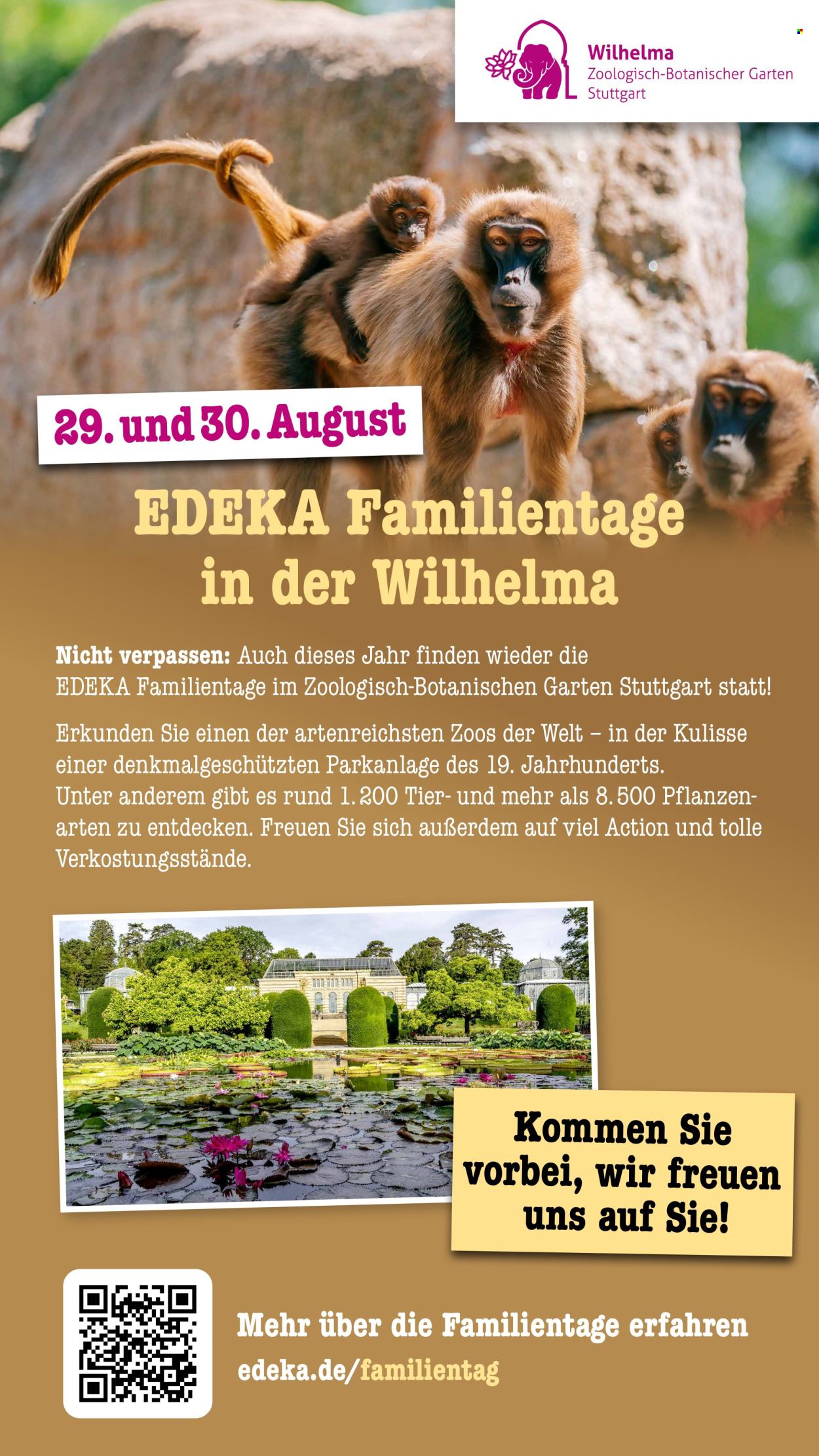 Scheck-in Prospekte  - 10.08.2026 - 15.08.2026. Seite 58