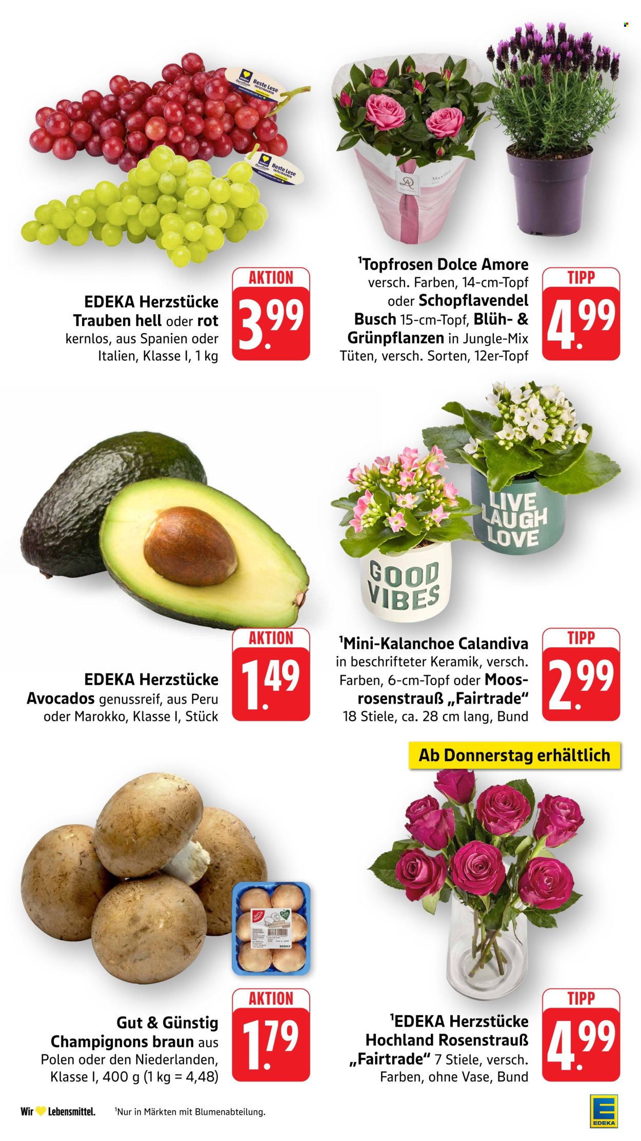 Edeka Prospekte  - 10.08.2026 - 15.08.2026. Seite 16