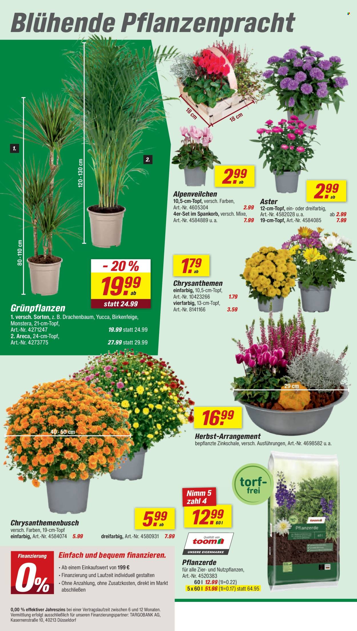 toom Baumarkt Prospekte  - 22.08.2026 - 28.08.2026. Seite 4