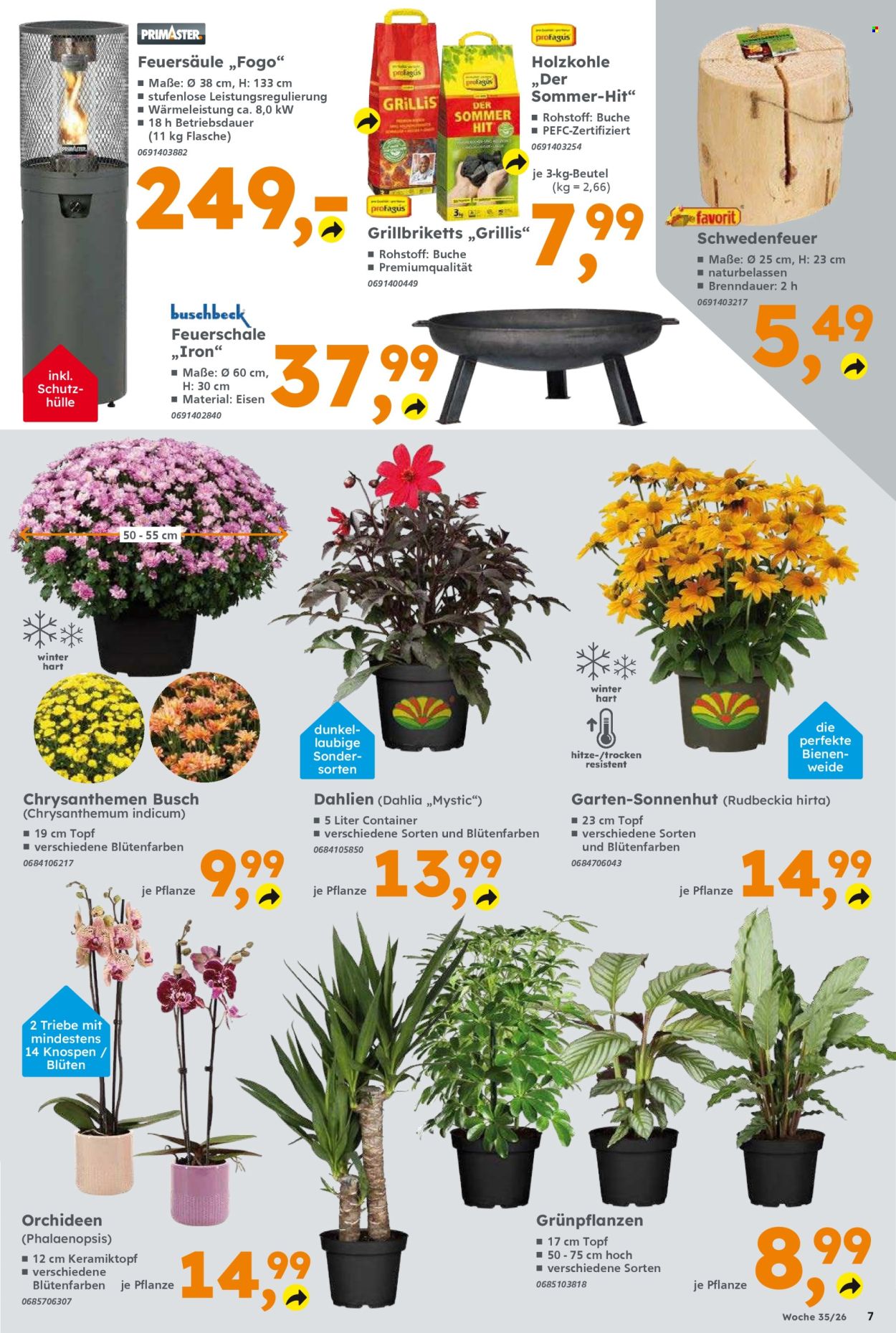 Globus Baumarkt Prospekte  - 24.08.2026 - 29.08.2026. Seite 7