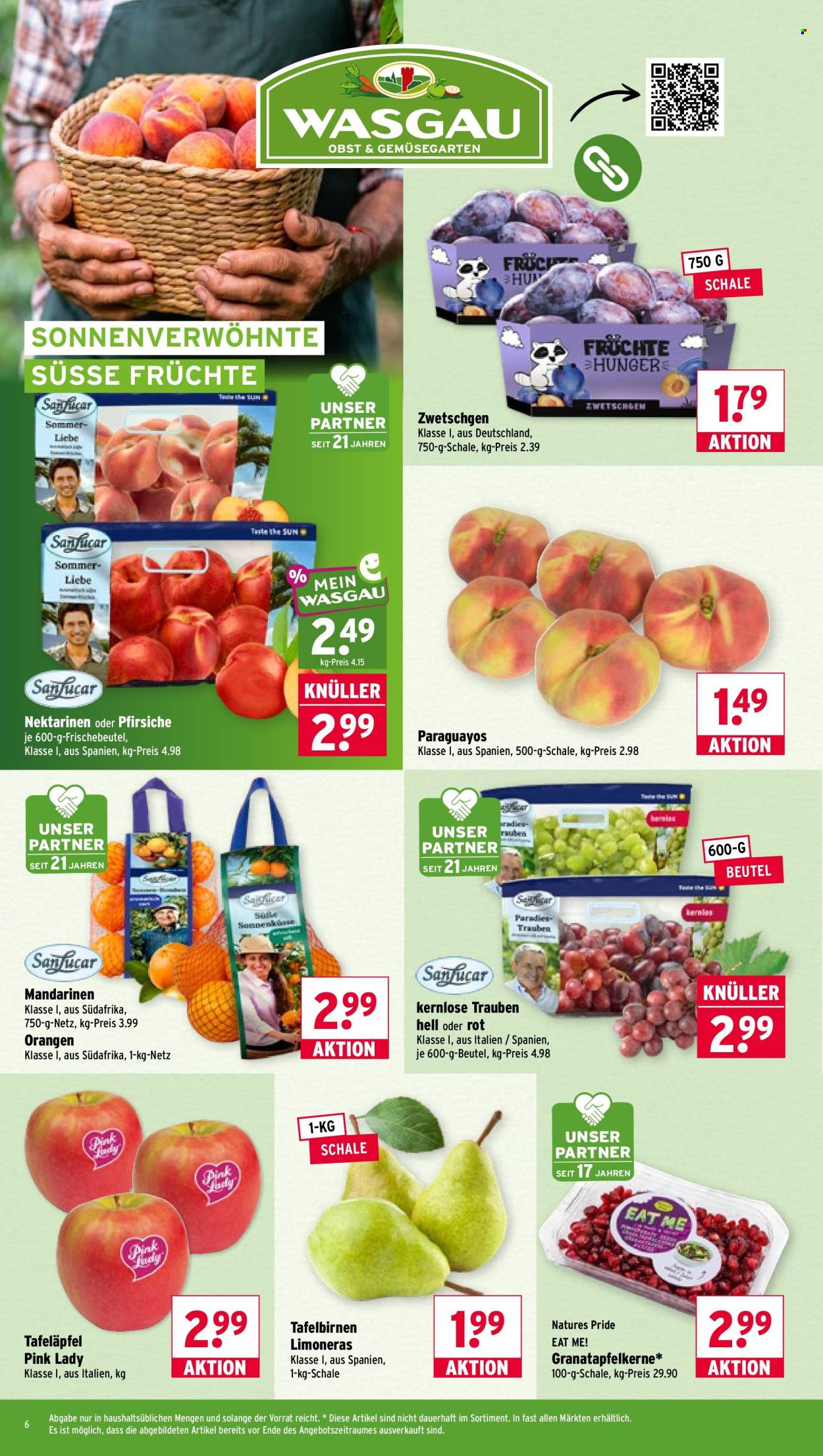 Wasgau Prospekte  - 24.08.2026 - 29.08.2026. Seite 6