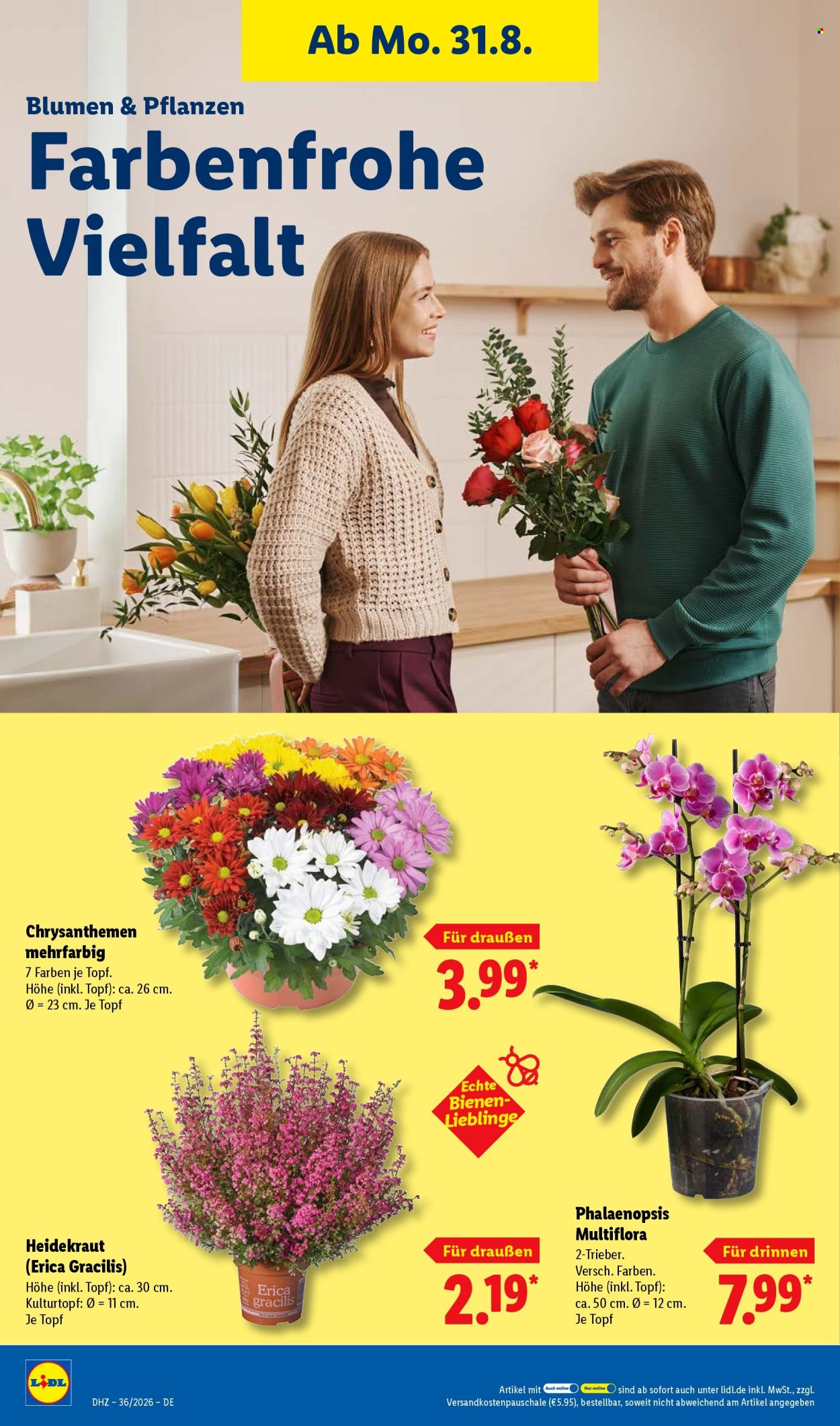 Lidl Prospekte  - 31.08.2026 - 5.09.2026. Seite 30