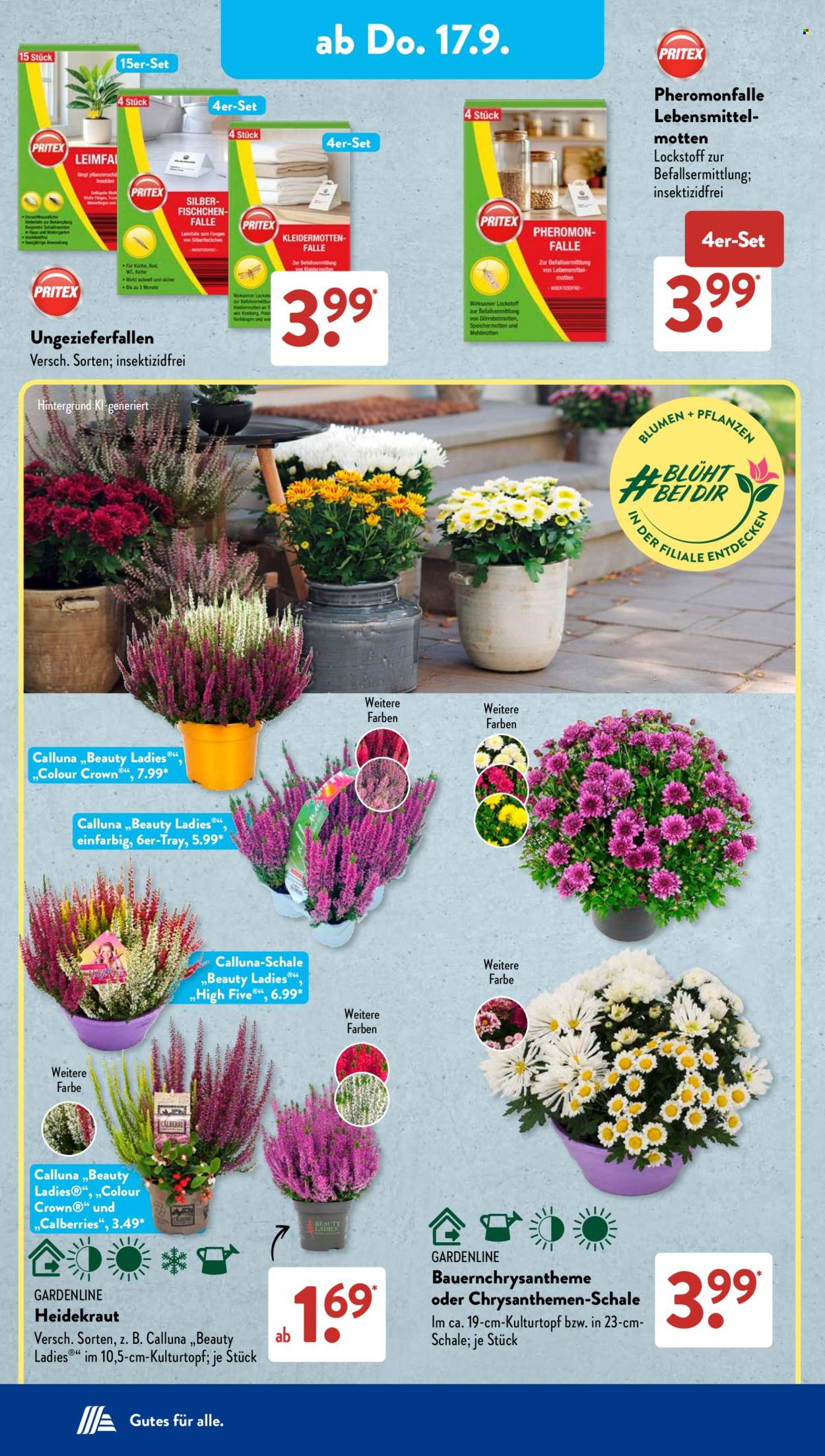 ALDI SÜD Prospekte  - 31.08.2026 - 31.08.2026. Seite 12