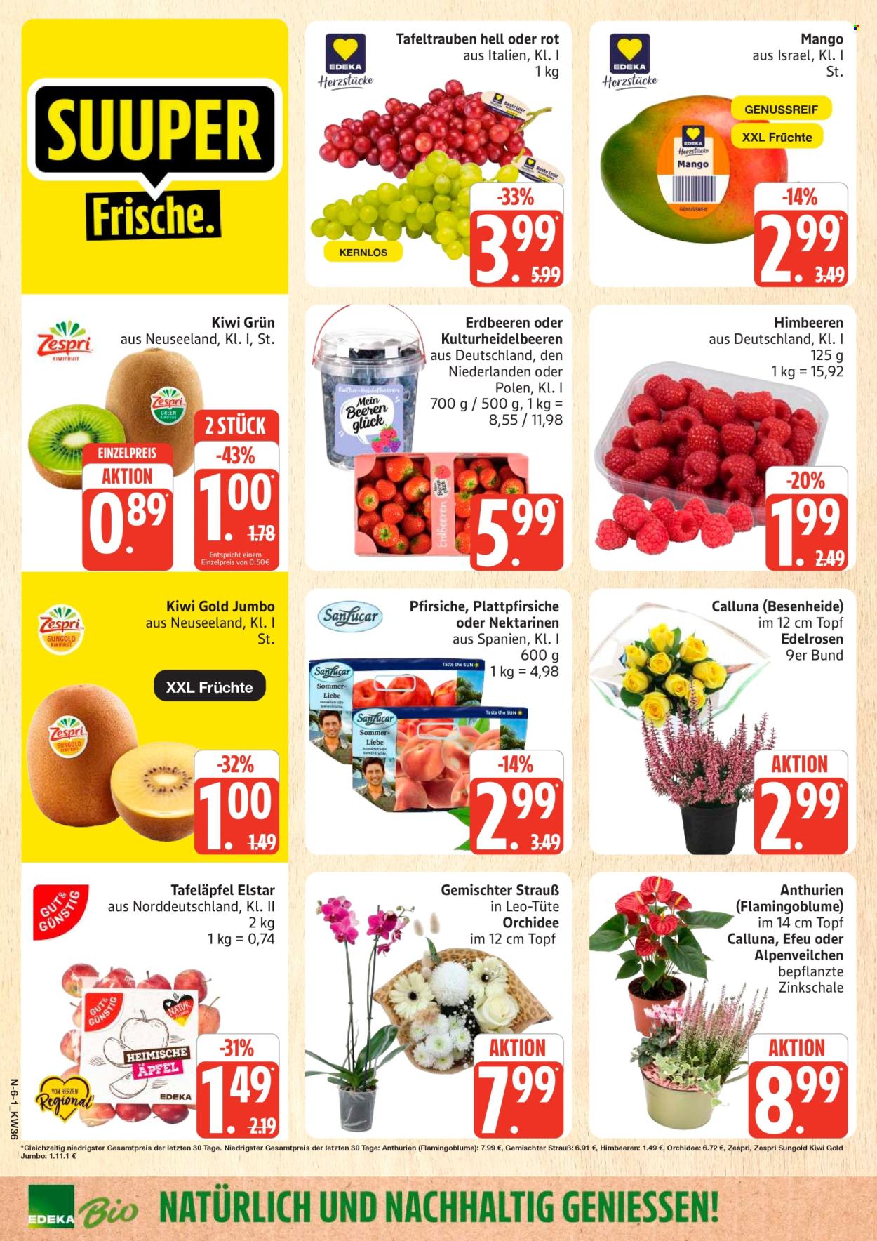 Marktkauf Prospekte  - 31.08.2026 - 5.09.2026. Seite 6