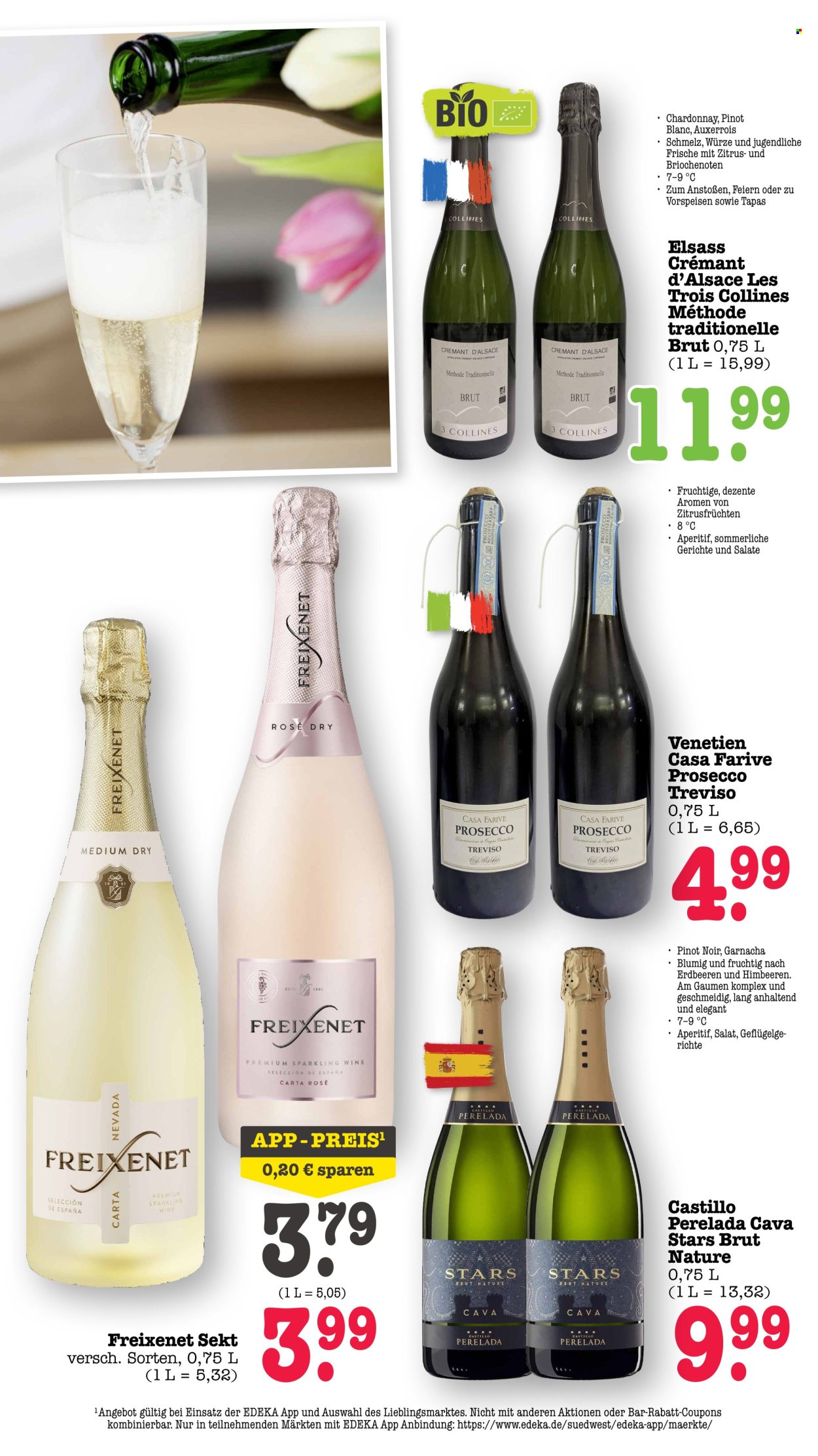 Scheck-in Prospekte  - 31.08.2026 - 5.09.2026. Seite 56
