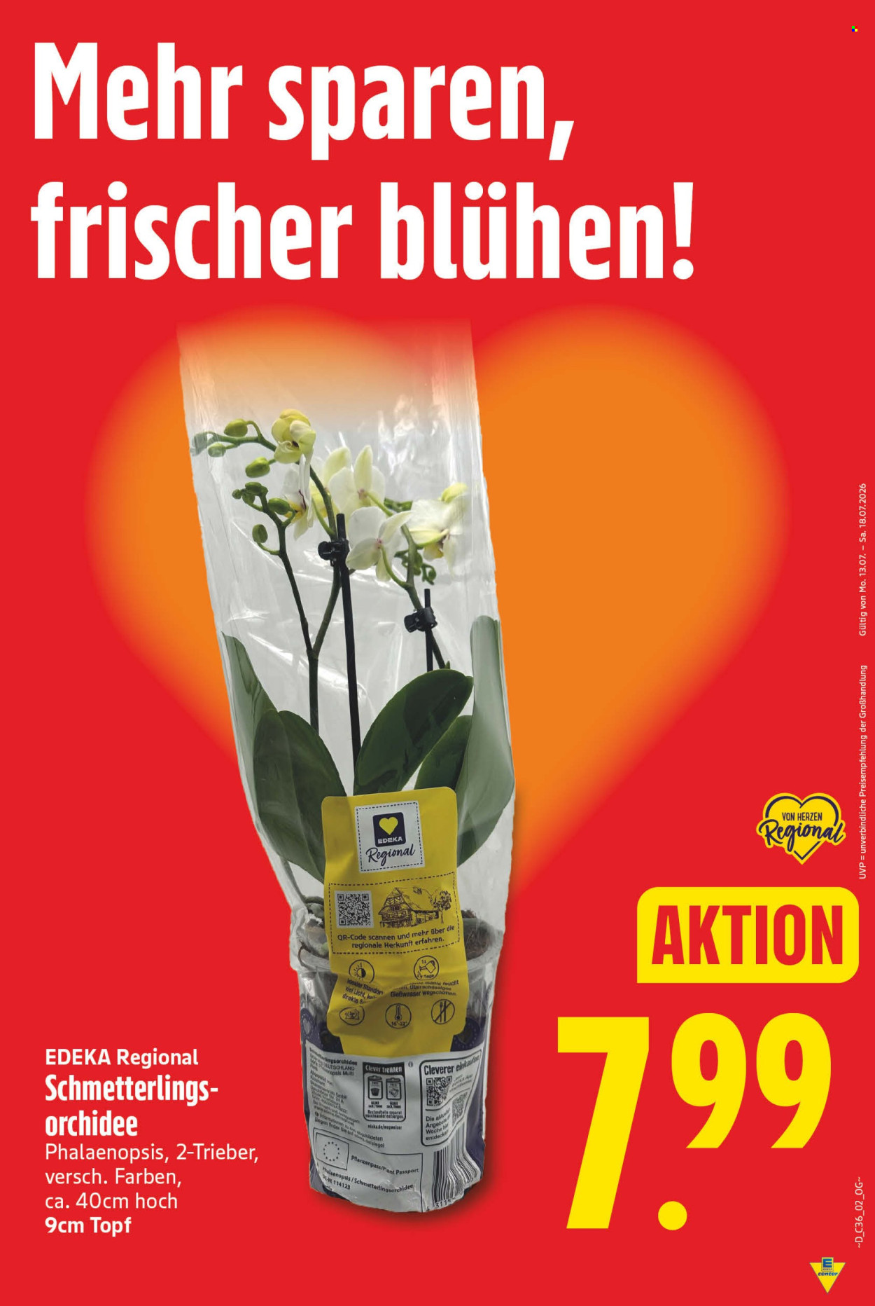 Edeka Prospekte  - 31.08.2026 - 5.09.2026. Seite 7