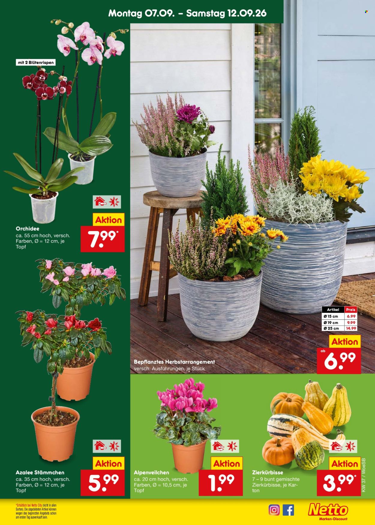 Netto Marken-Discount Prospekte  - 7.09.2026 - 12.09.2026. Seite 19