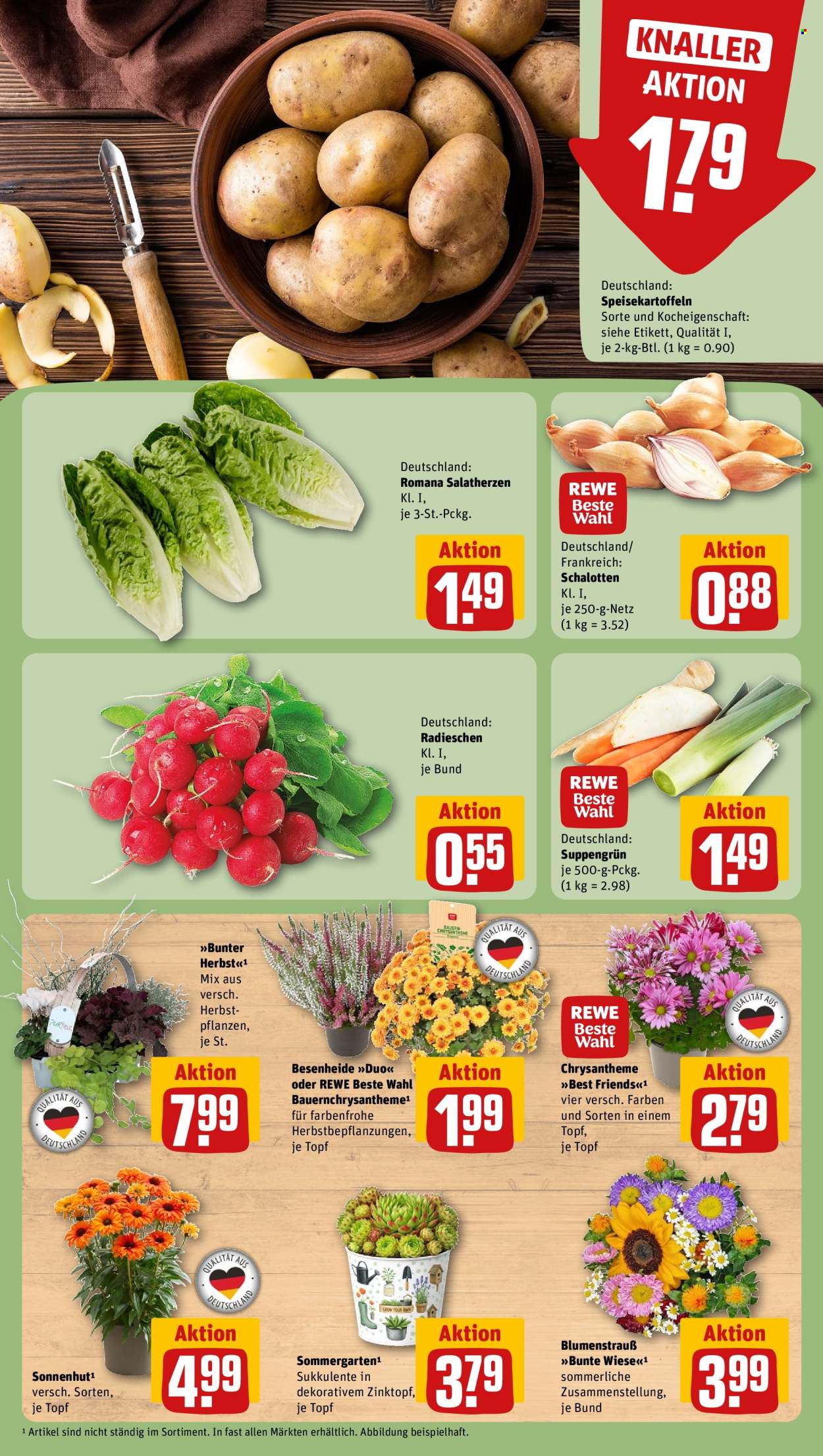 REWE Prospekte  - 7.09.2026 - 13.09.2026. Seite 7