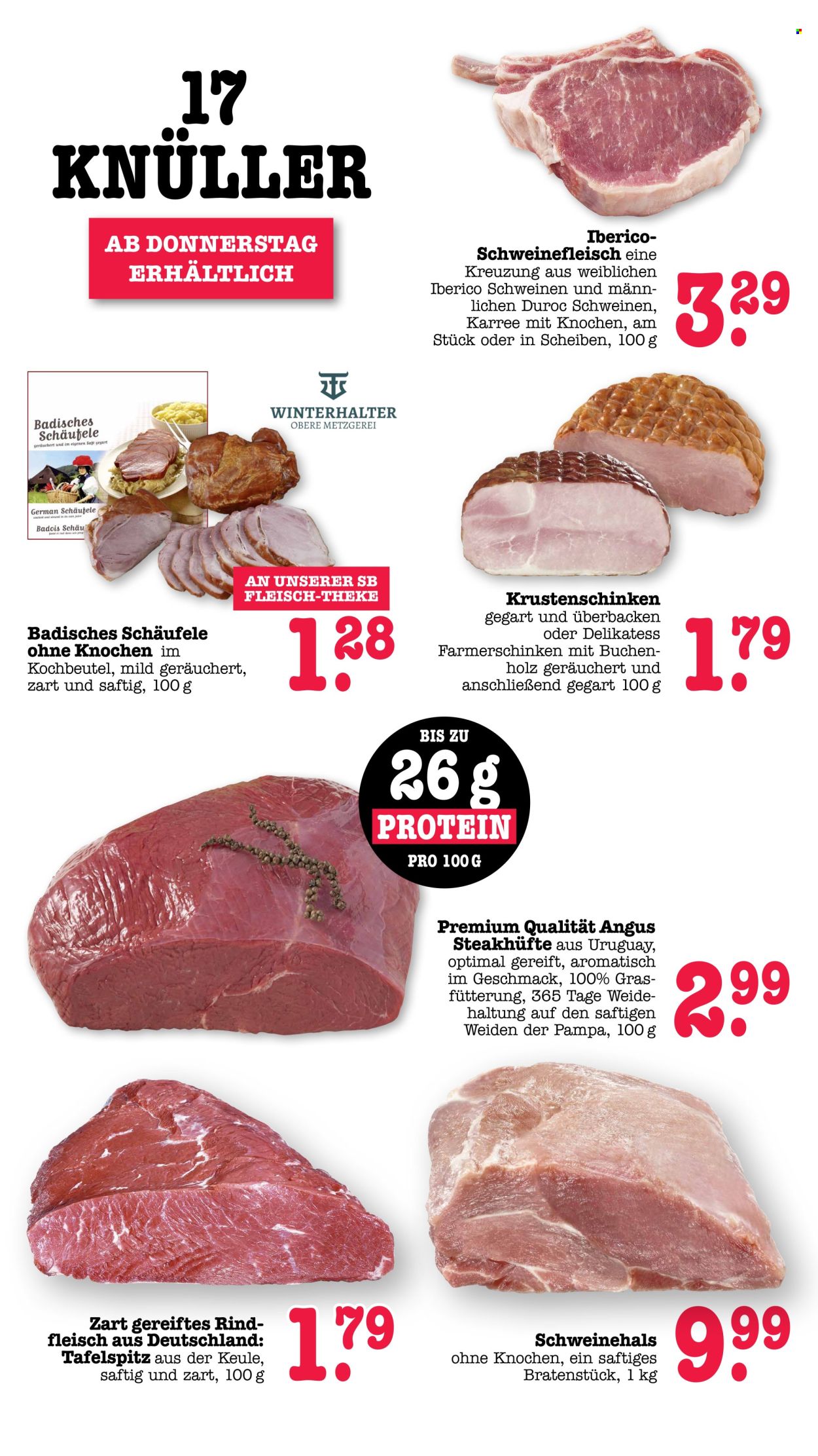 Scheck-in Prospekte  - 7.09.2026 - 12.09.2026. Seite 58