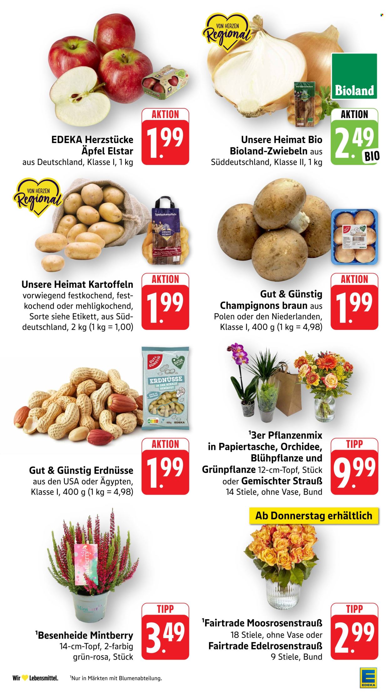 Edeka Prospekte  - 7.09.2026 - 12.09.2026. Seite 11