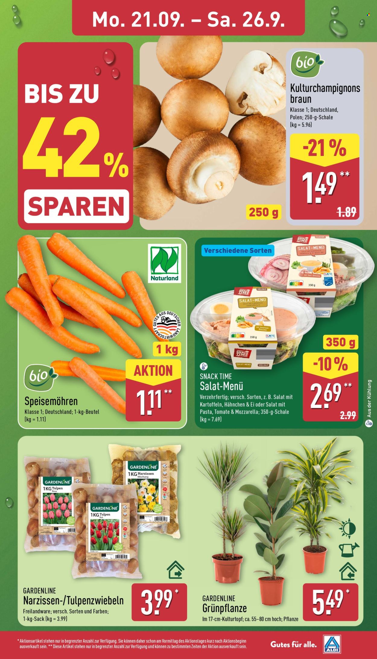 ALDI Nord Prospekte  - 21.09.2026 - 26.09.2026. Seite 3