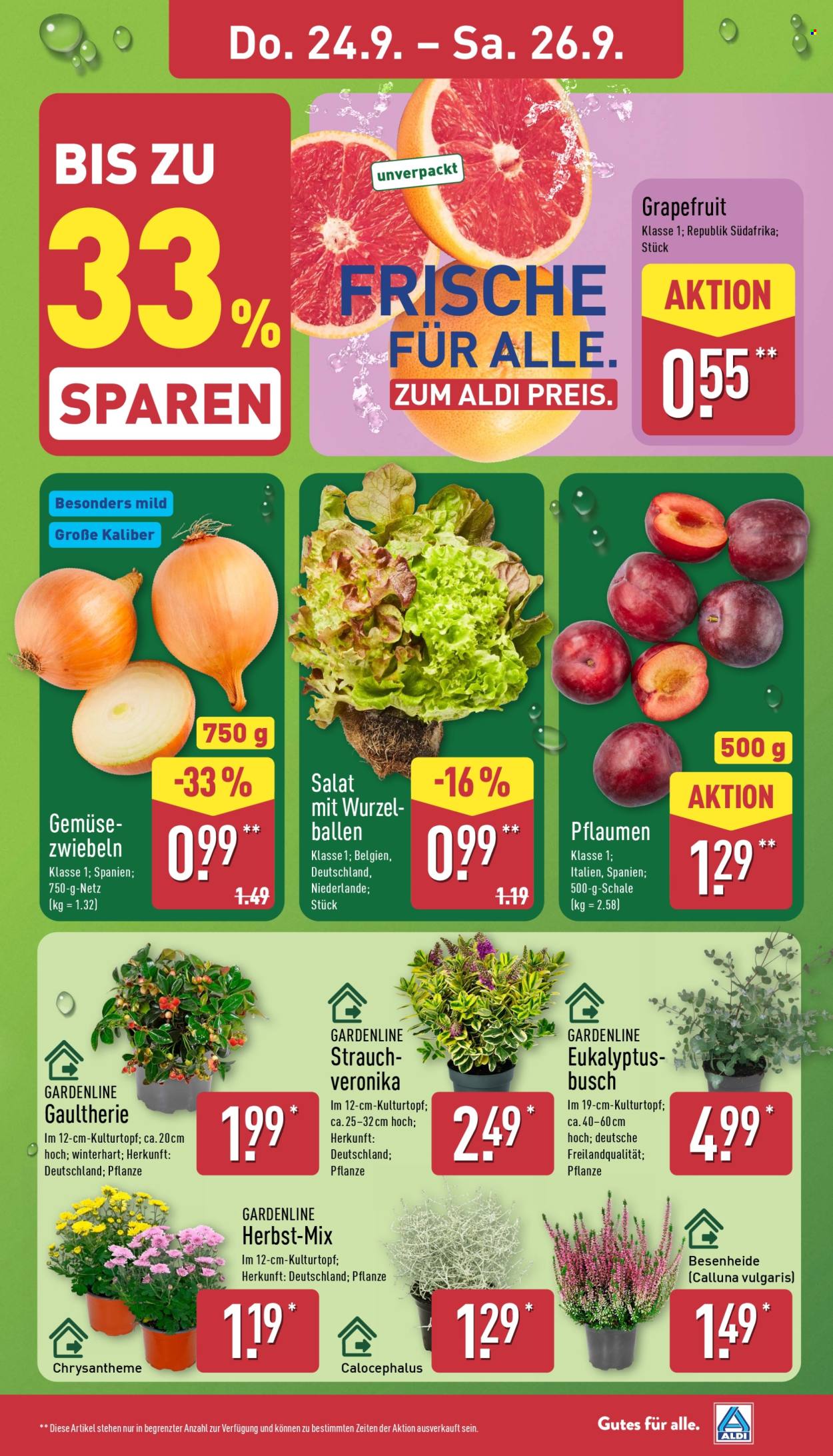 ALDI Nord Prospekte  - 21.09.2026 - 26.09.2026. Seite 27