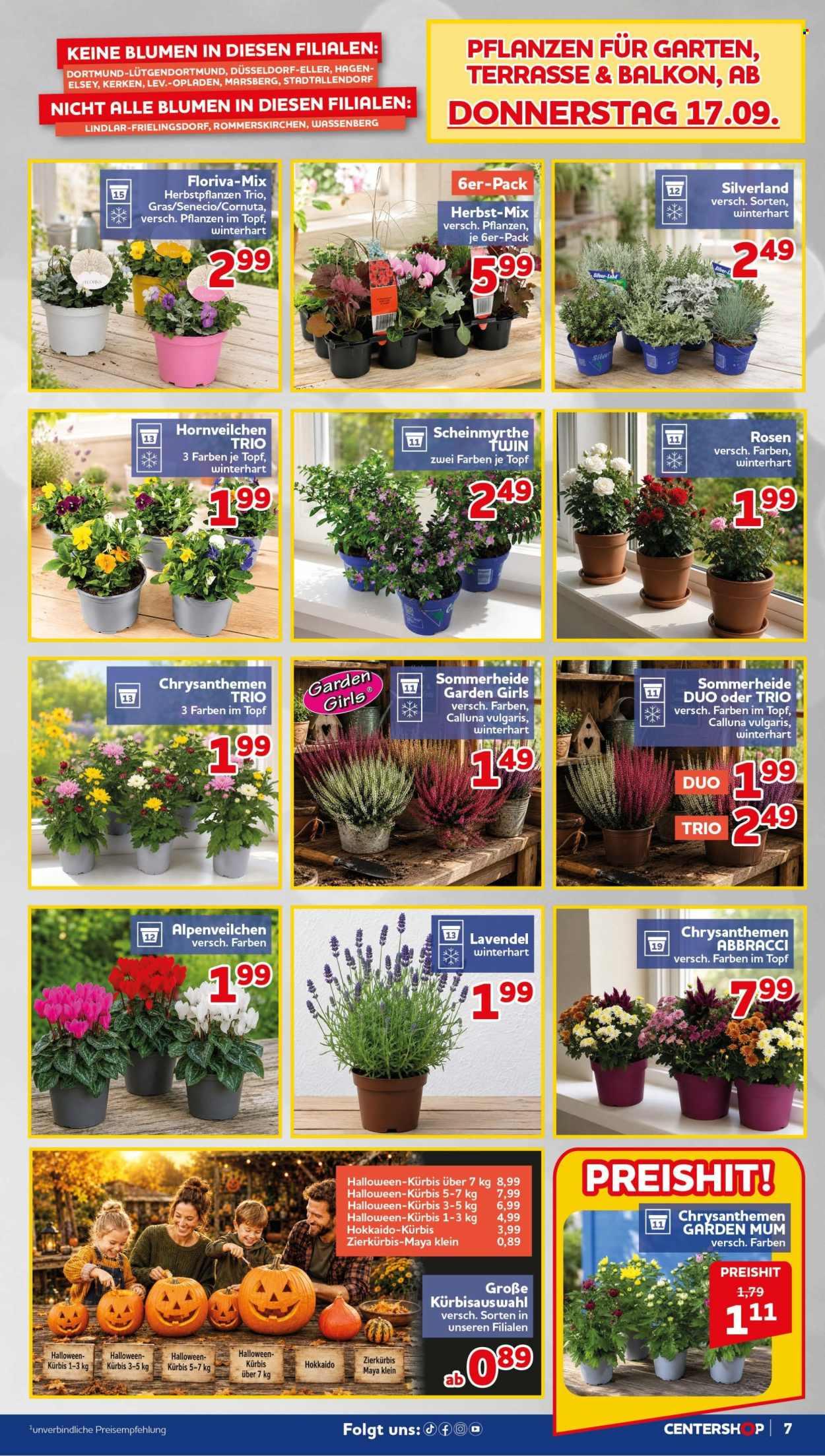 CENTERSHOP Prospekte  - 14.09.2026 - 19.09.2026. Seite 7