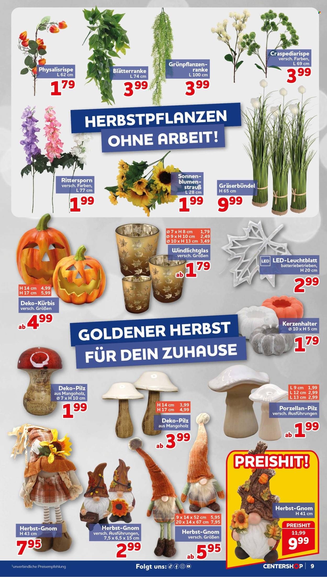 CENTERSHOP Prospekte  - 14.09.2026 - 19.09.2026. Seite 9