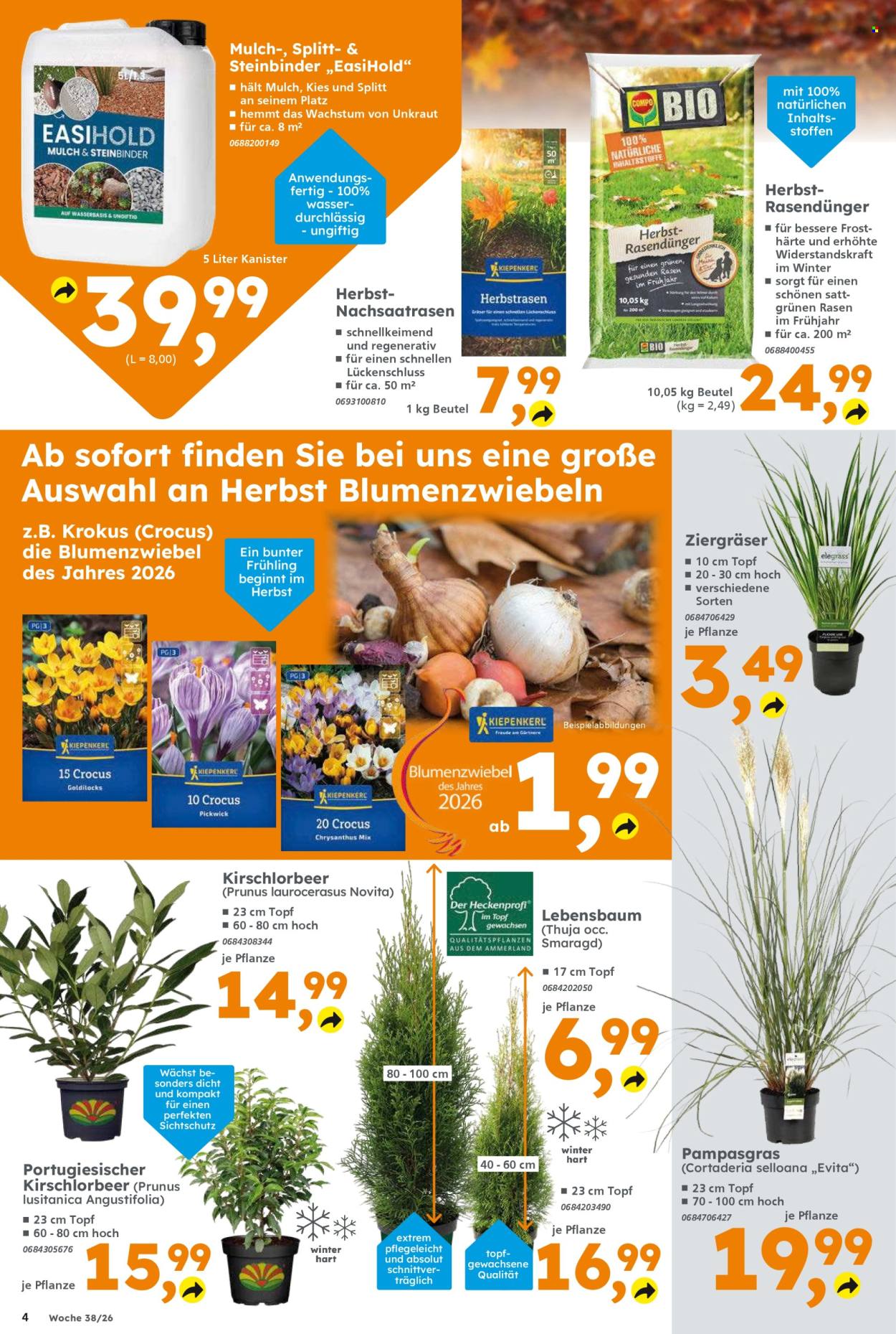 Globus Baumarkt Prospekte  - 14.09.2026 - 19.09.2026. Seite 4