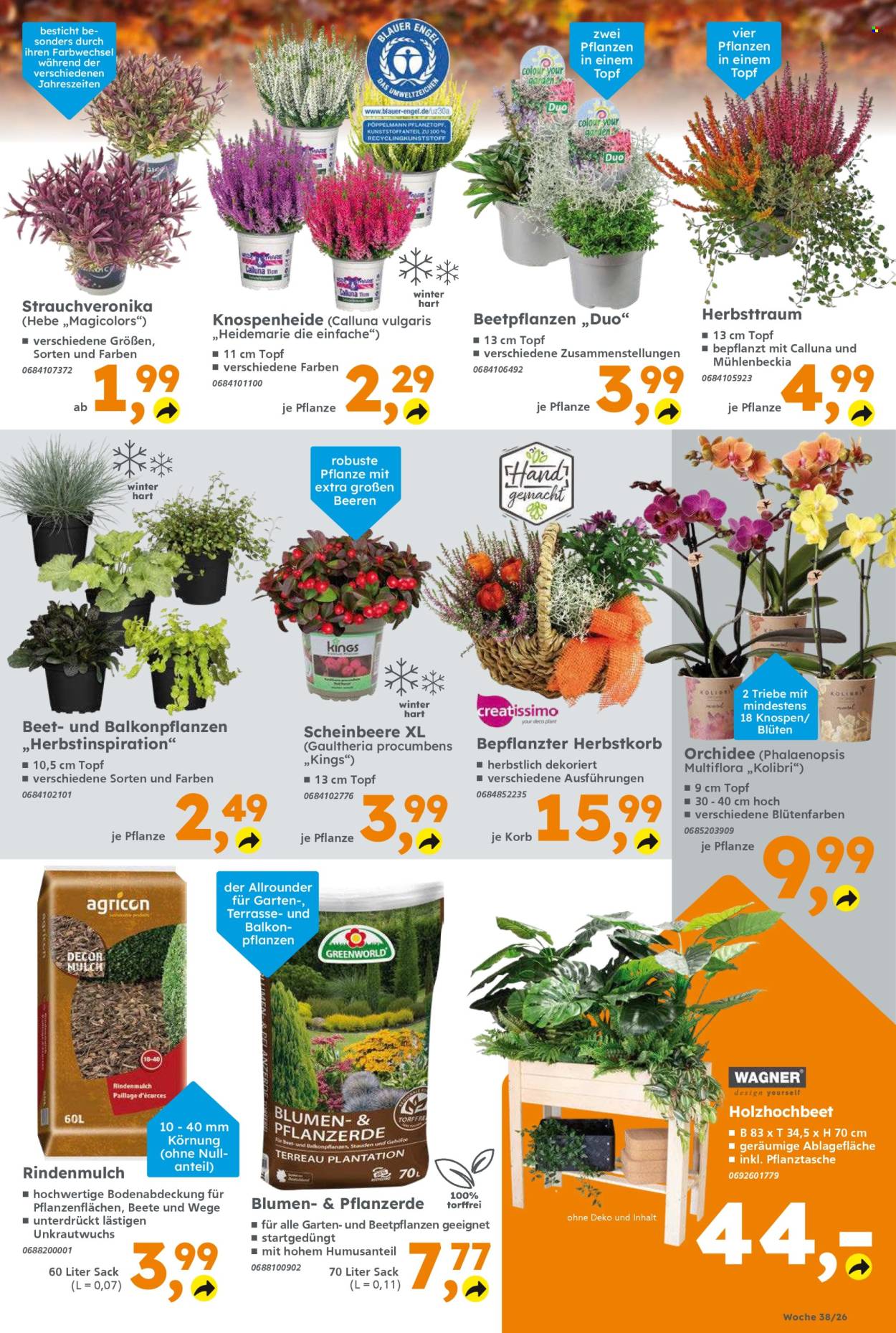Globus Baumarkt Prospekte  - 14.09.2026 - 19.09.2026. Seite 5