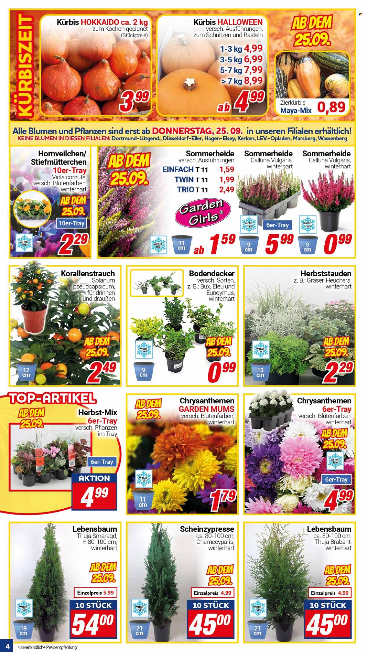 CENTERSHOP Prospekte  - 22.09.2026 - 27.09.2026. Seite 4