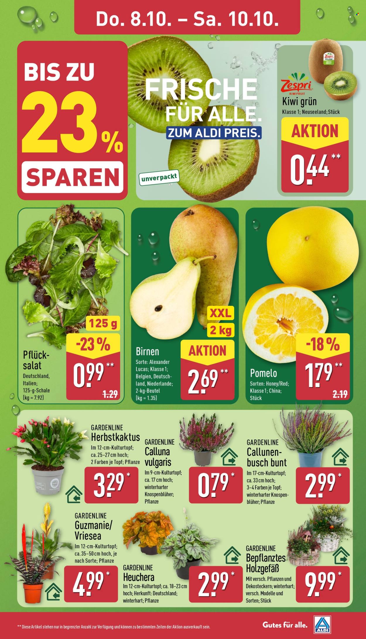 ALDI Nord Prospekte  - 5.10.2026 - 10.10.2026. Seite 29