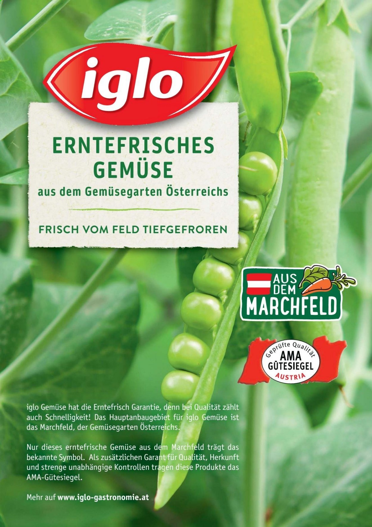 Angebote KASTNER. Seite 23