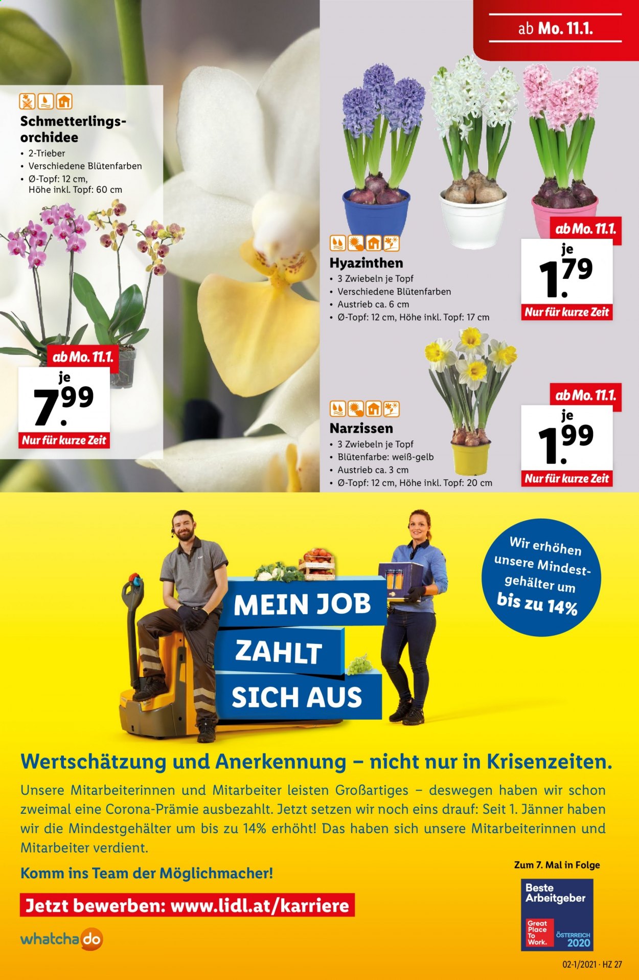 Angebote Lidl - 7.1.2021 - 13.1.2021. Seite 27