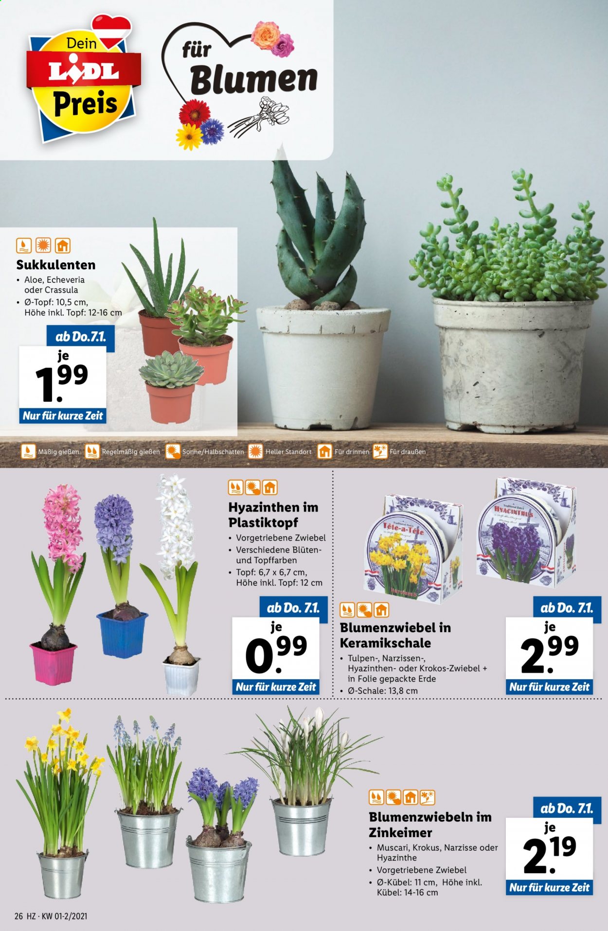 Angebote Lidl - 7.1.2021 - 13.1.2021. Seite 26