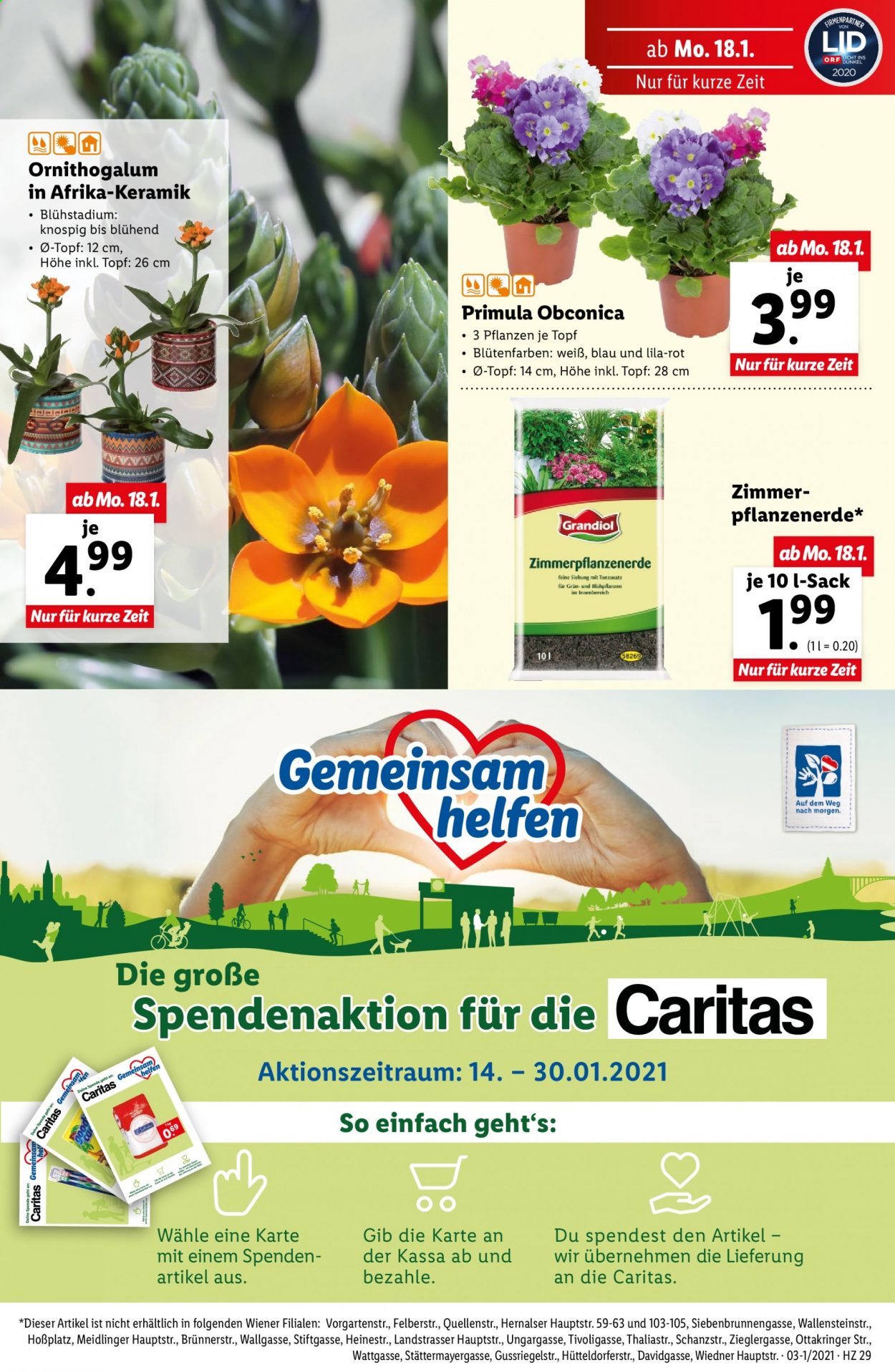 Angebote Lidl - 14.1.2021 - 20.1.2021. Seite 29